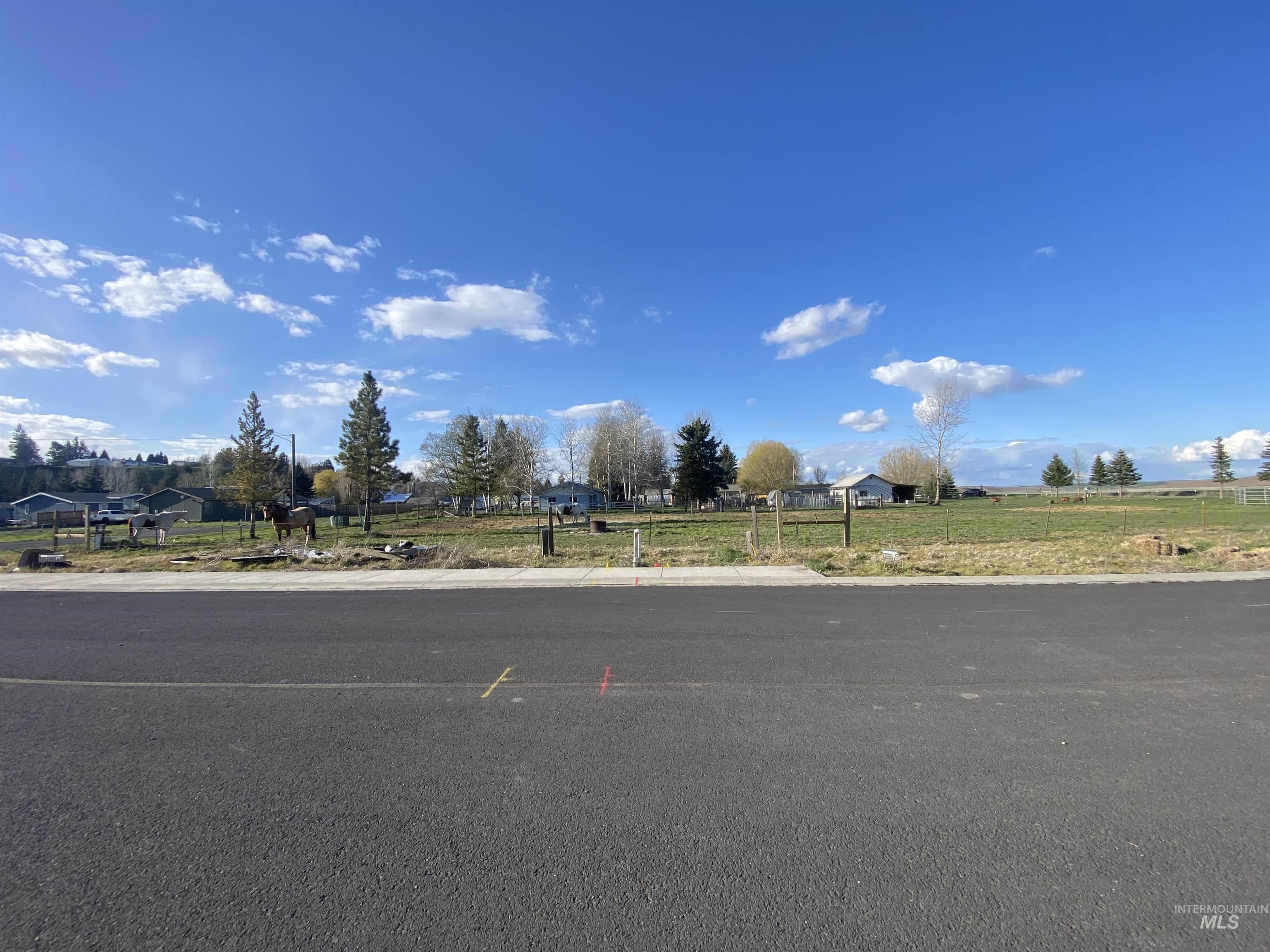 506 Maple Ct., Genesee, Idaho 83832, Land For Sale, Price $47,900,MLS 98906978