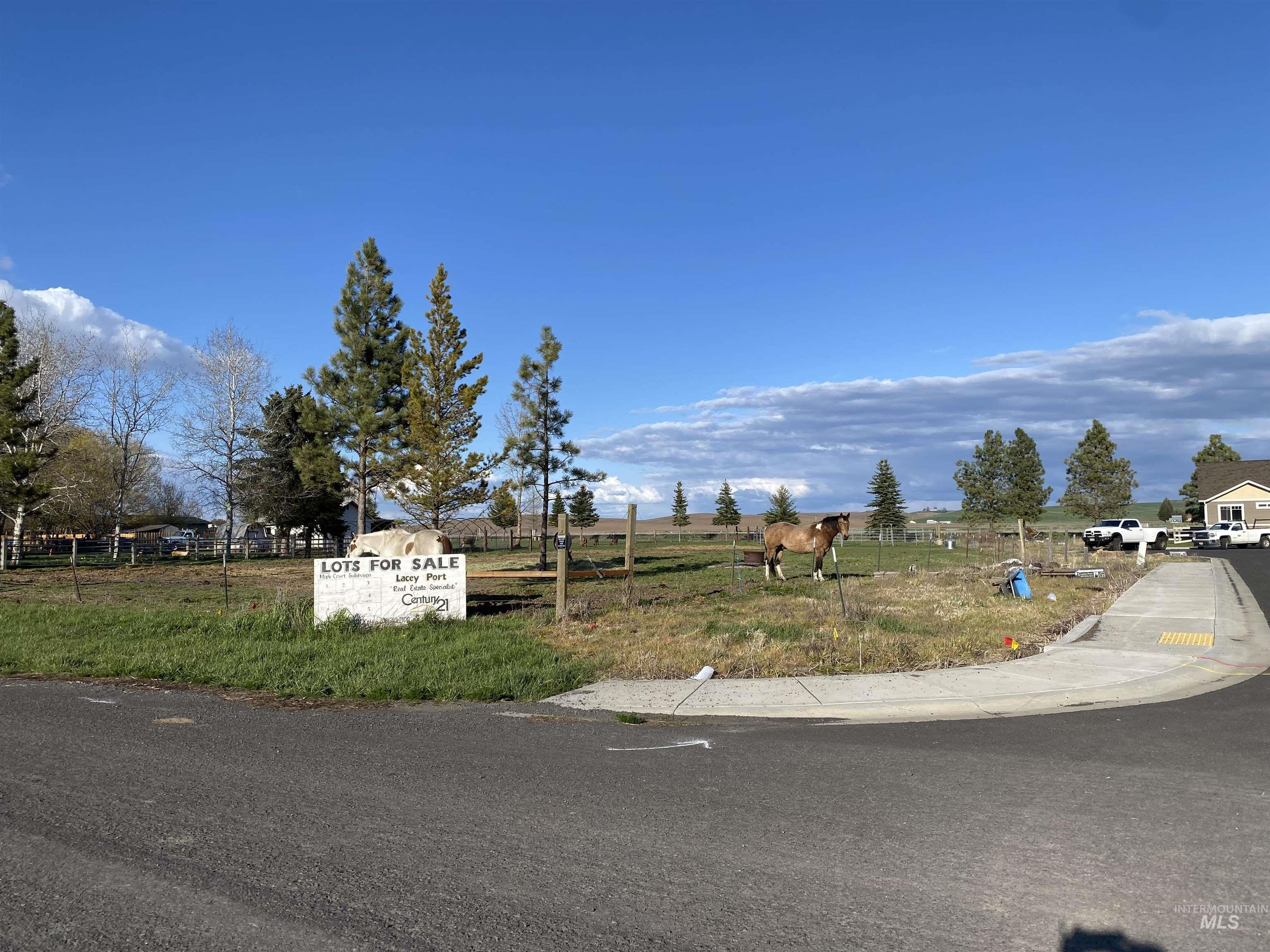 506 Maple Ct., Genesee, Idaho 83832, Land For Sale, Price $47,900,MLS 98906978