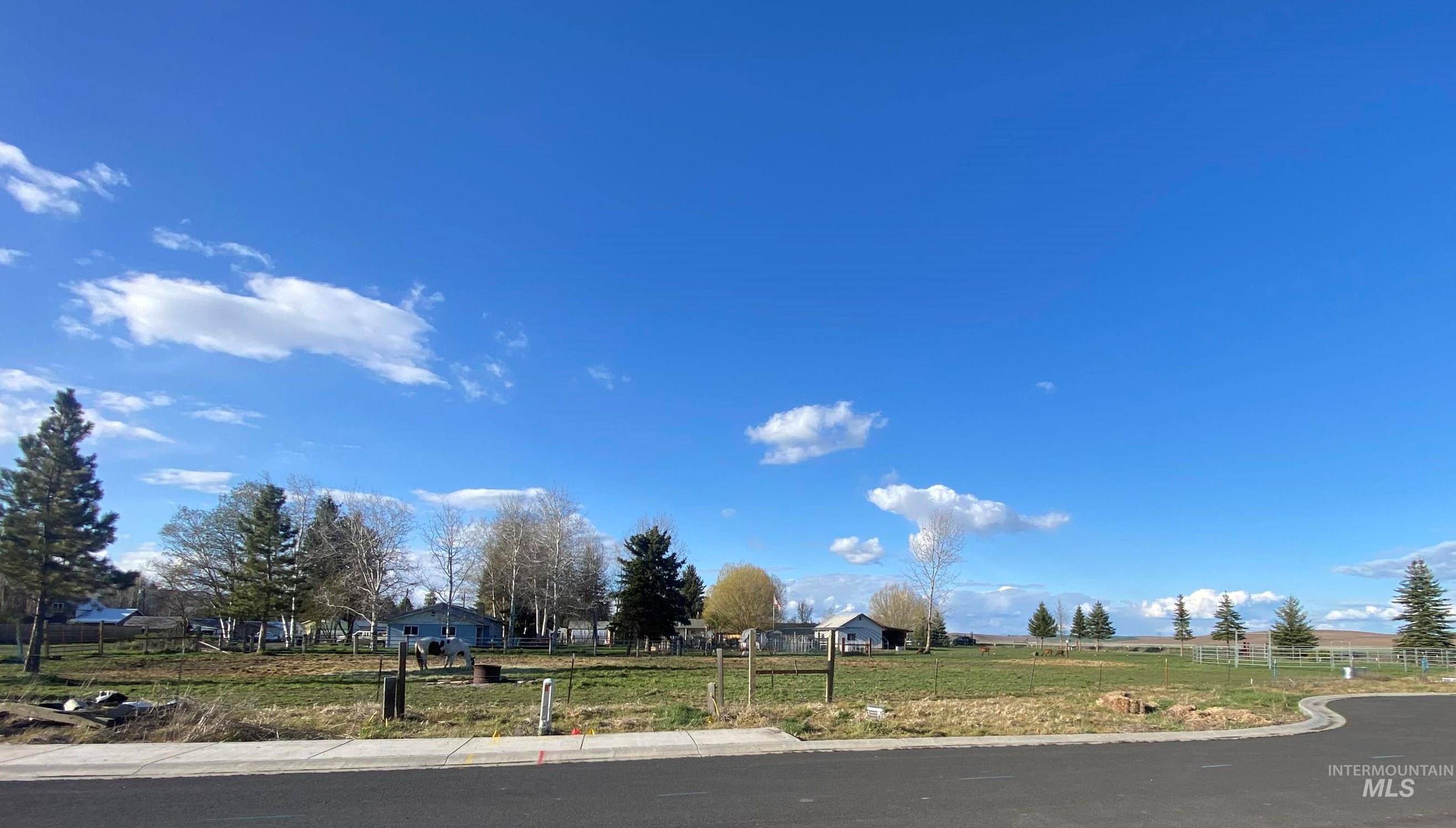 516 Maple Ct, Genesee, Idaho 83832, Land For Sale, Price $47,900,MLS 98906979