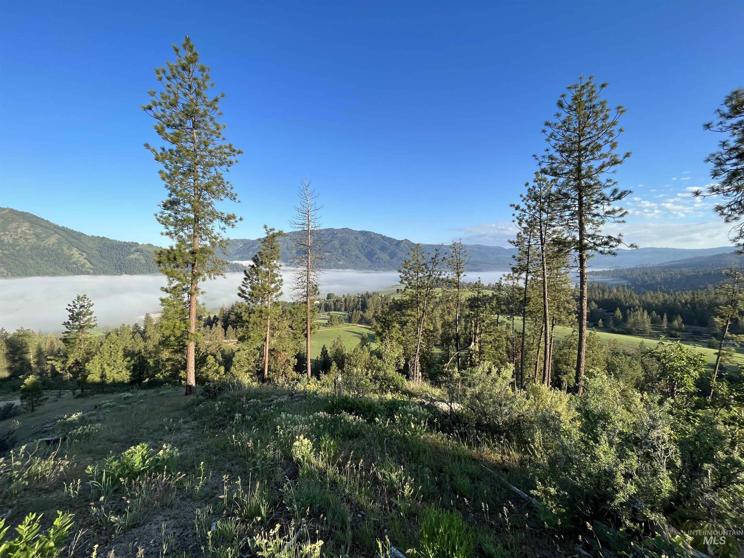 TBD Lot C Coulter Lane, Garden Valley, Idaho 83622, Land For Sale, Price $450,000,MLS 98907006