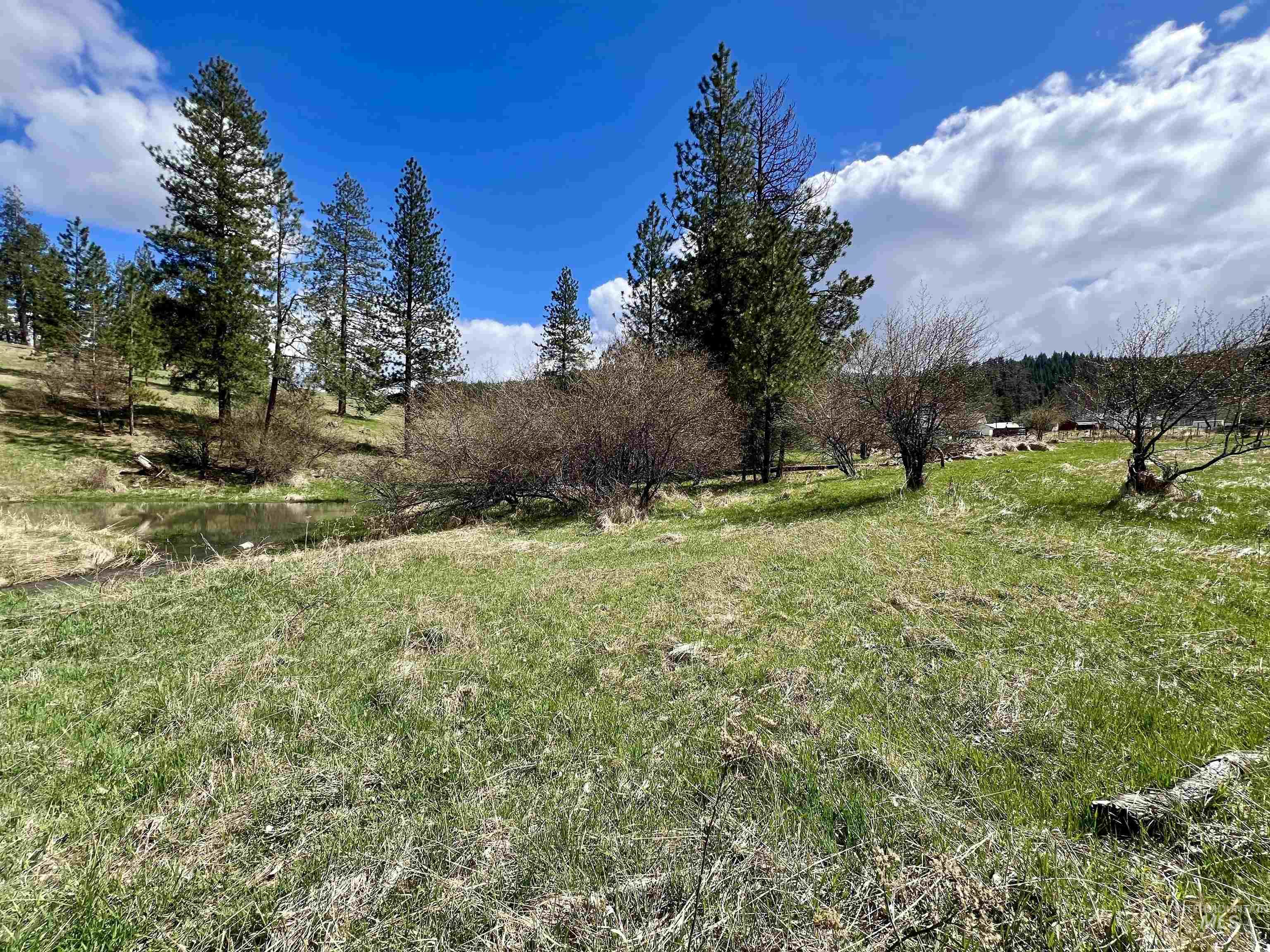 439 Mt Idaho Grade Road, Grangeville, Idaho 83530, Land For Sale, Price $195,000,MLS 98907097