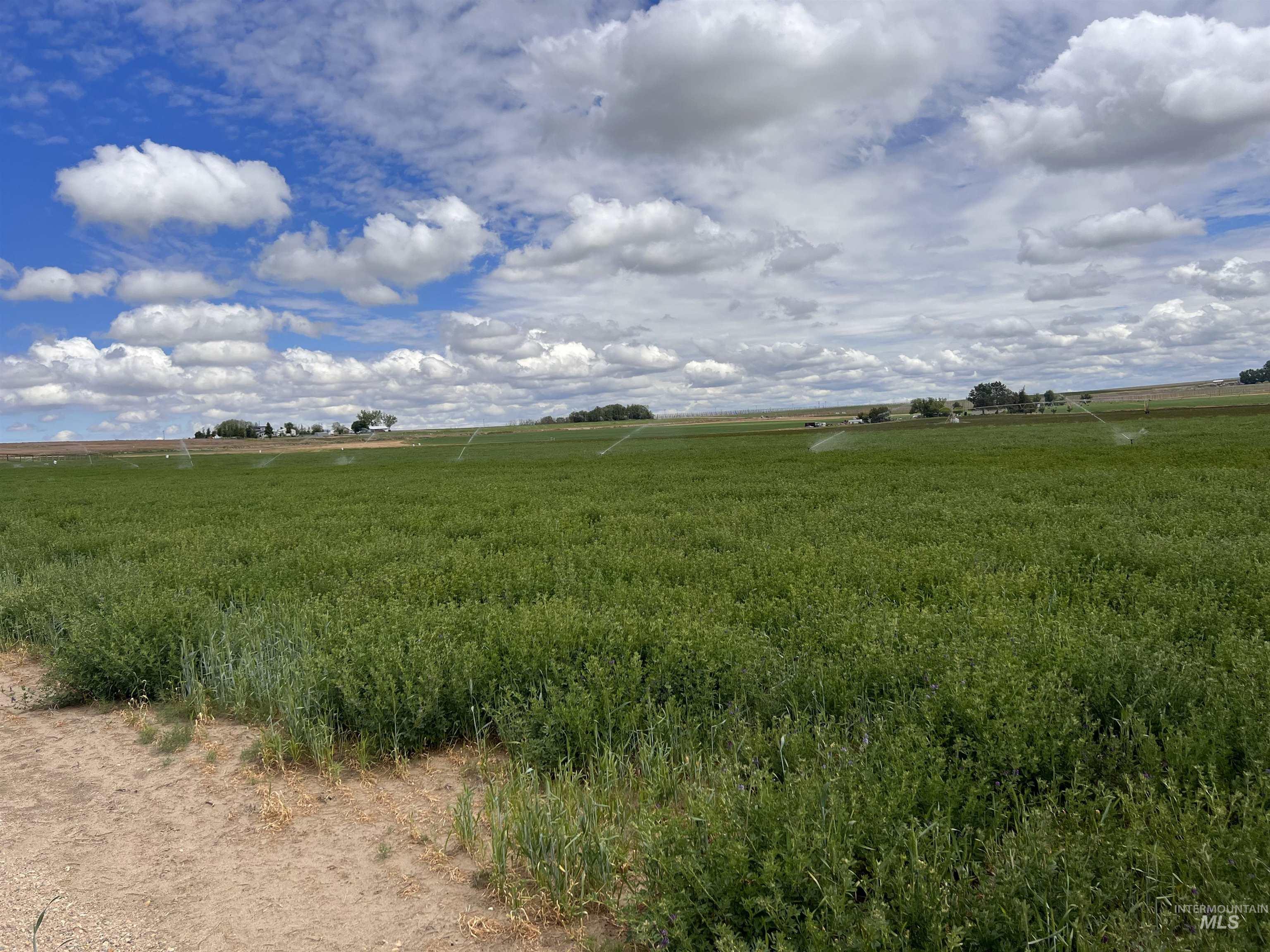 TBD Dixie Road, Parma, Idaho 83660, Land For Sale, Price $284,900,MLS 98907204