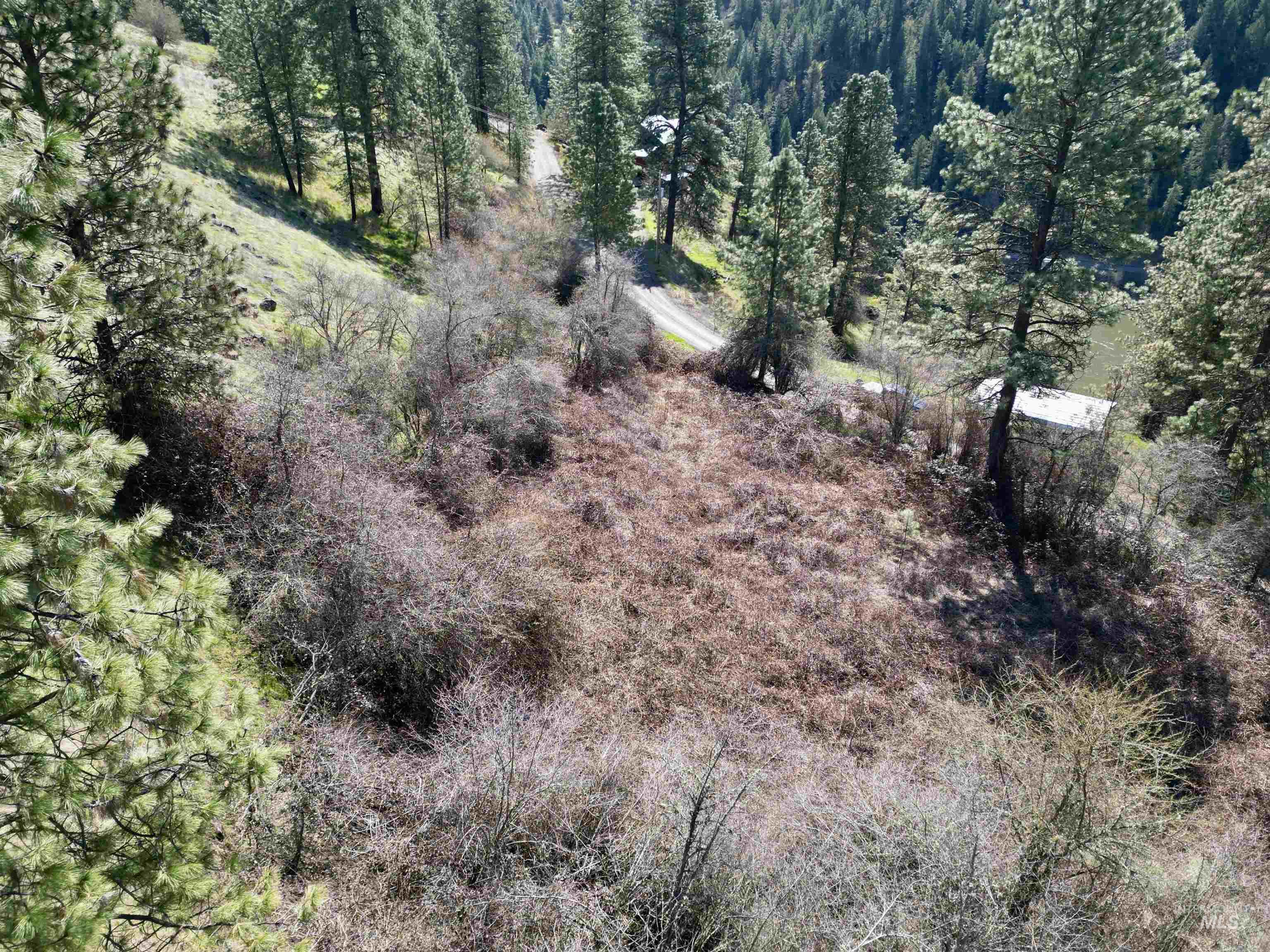 TBD Old Peck Grade, Lenore, Idaho 83541, Land For Sale, Price $42,000,MLS 98907715