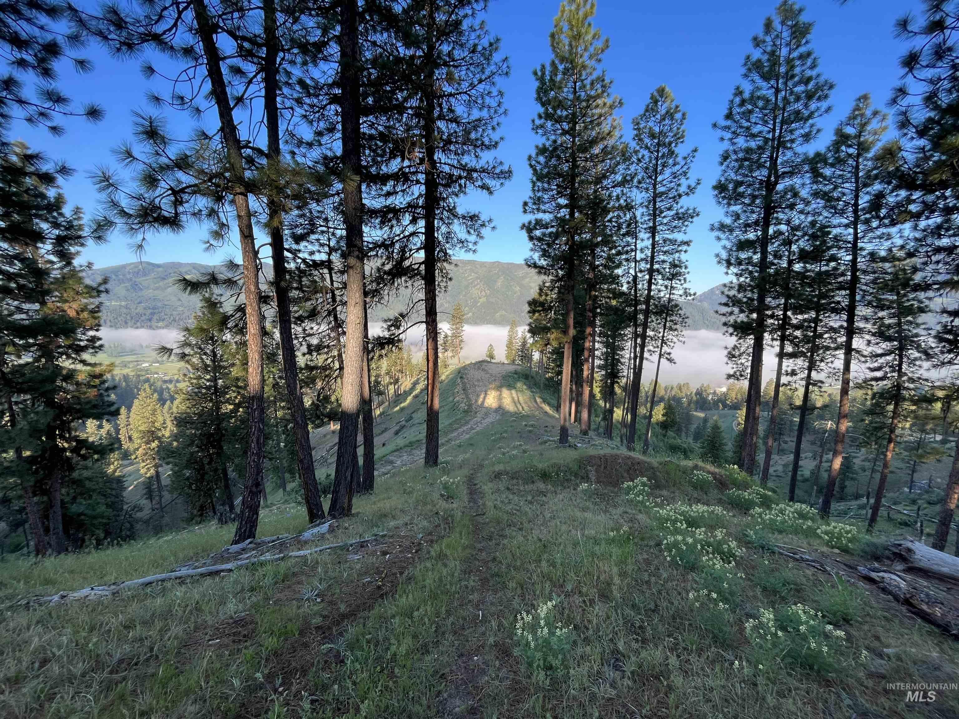 TBD A Coulter Lane, Garden Valley, Idaho 83622, Land For Sale, Price $450,000,MLS 98907721