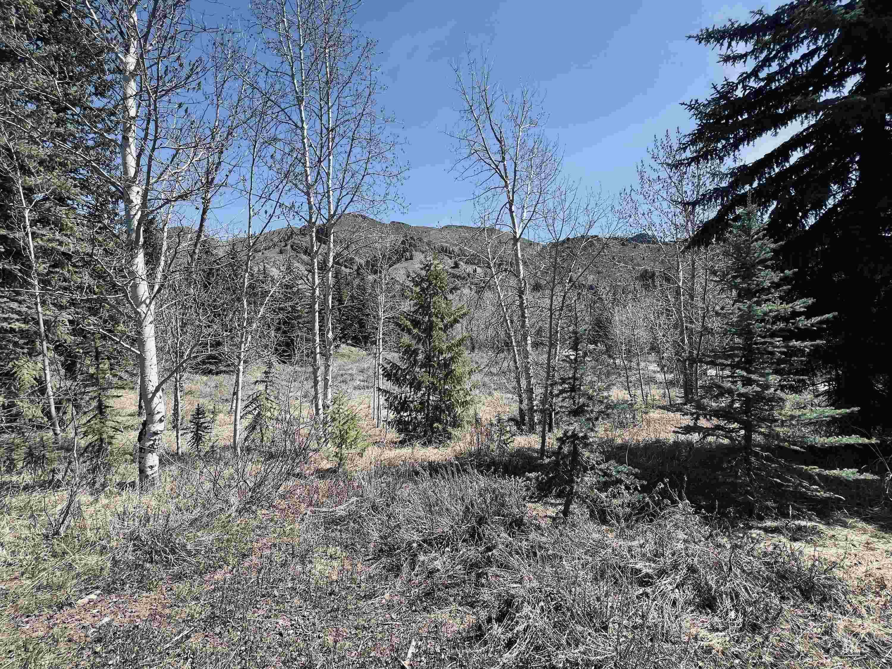 55 Cliffside Dr, Ketchum, Idaho 83340, Land For Sale, Price $1,500,000,MLS 98907763