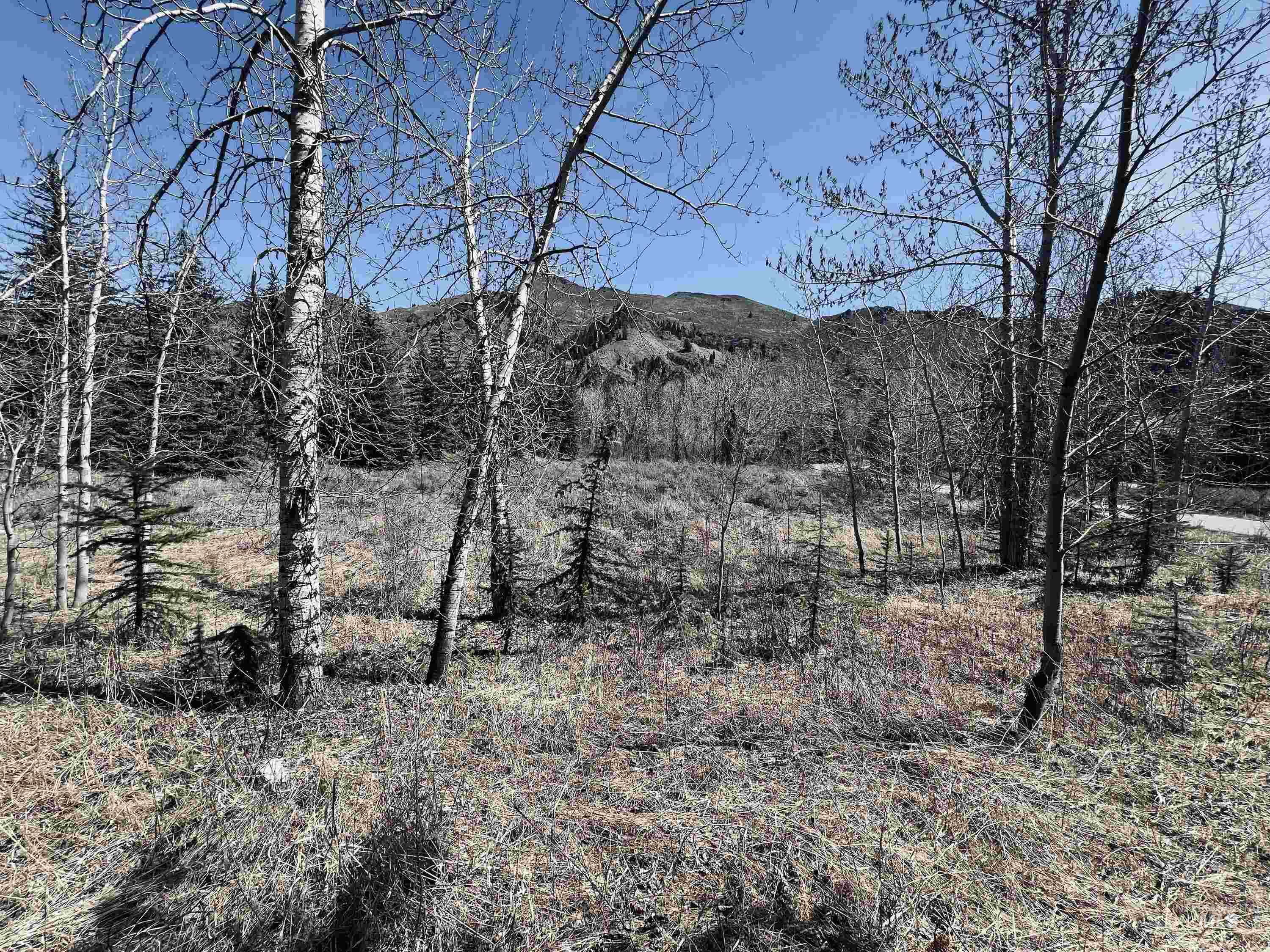 55 Cliffside Dr, Ketchum, Idaho 83340, Land For Sale, Price $1,500,000,MLS 98907763