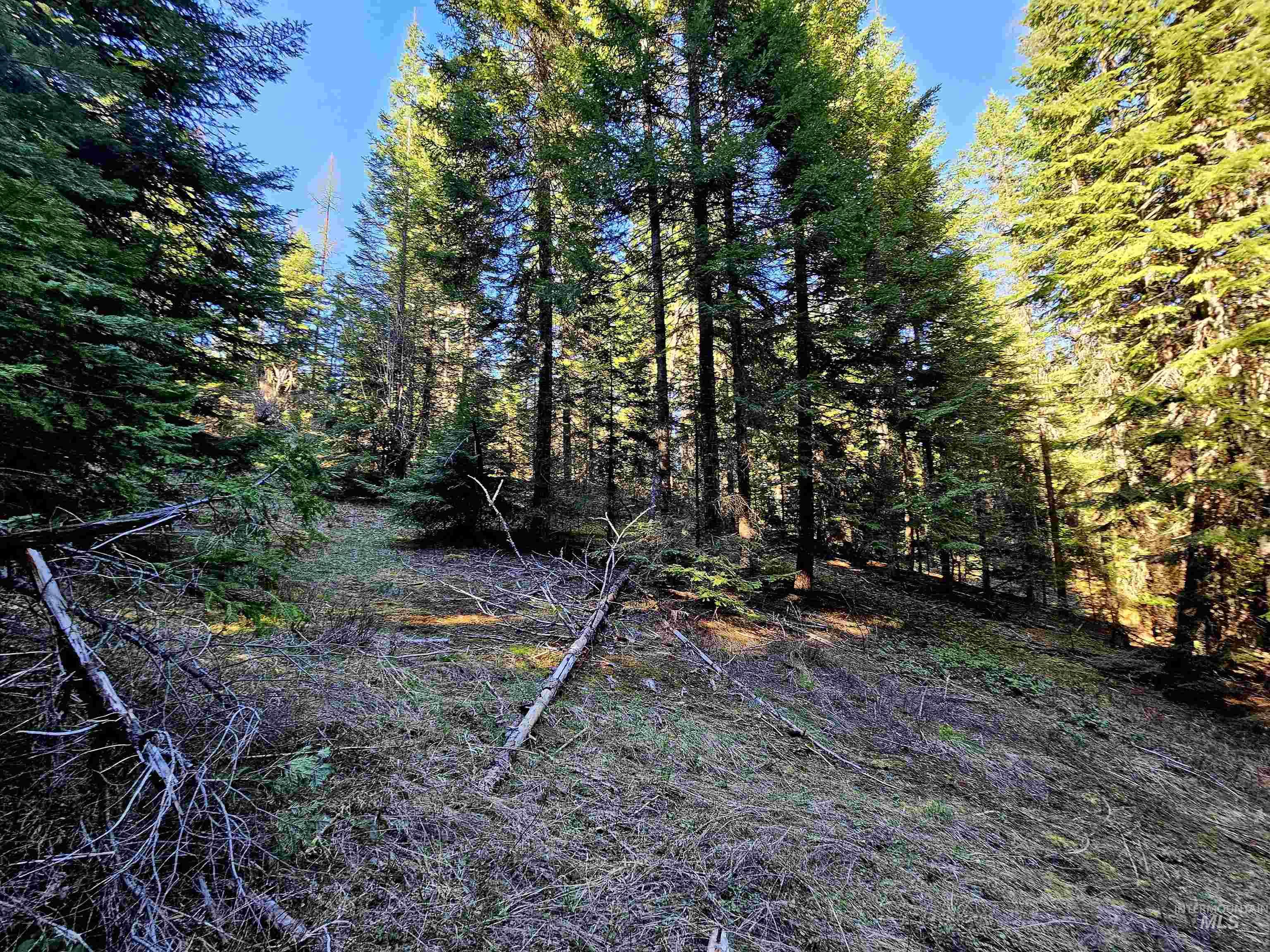 TBD Highway 11, Weippe, Idaho 83553, Land For Sale, Price $125,000,MLS 98907768