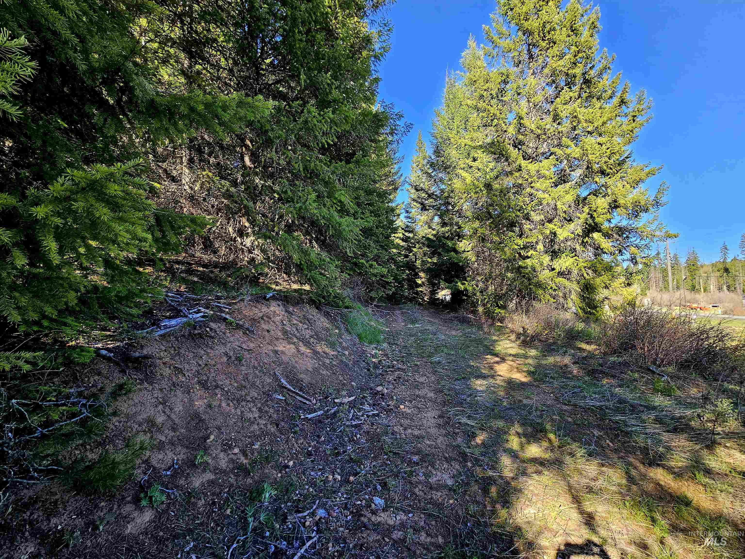TBD Highway 11, Weippe, Idaho 83553, Land For Sale, Price $125,000,MLS 98907768