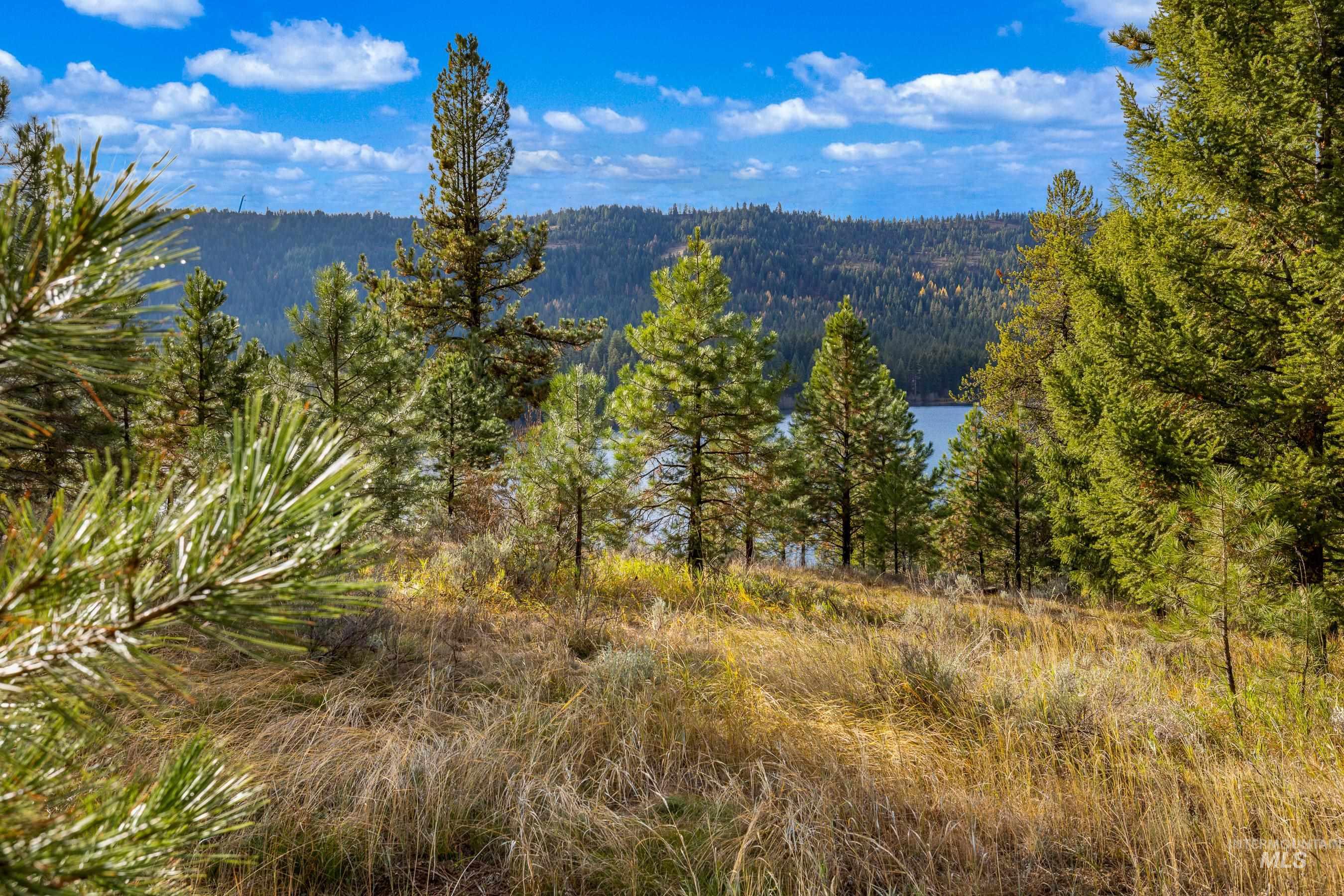 TBD North Wood Court, McCall, Idaho 83638, Land For Sale, Price $650,000,MLS 98907892