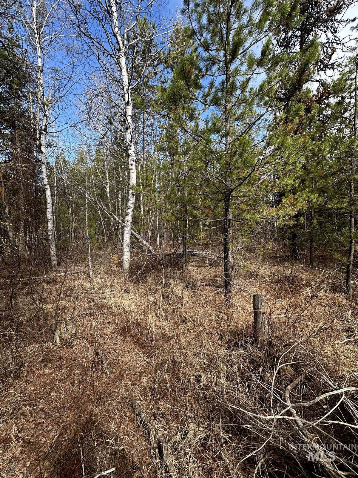200 Angus Lane, Donnelly, Idaho 83615, Land For Sale, Price $190,000,MLS 98908229