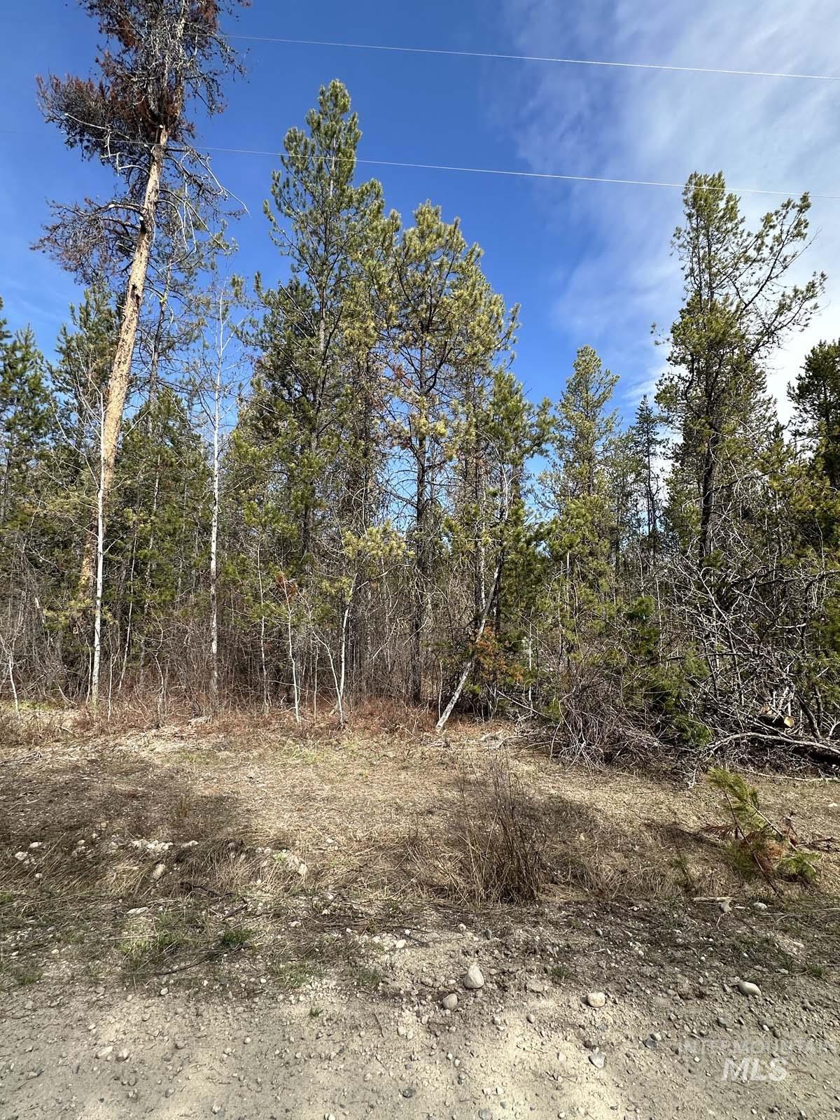 200 Angus Lane, Donnelly, Idaho 83615, Land For Sale, Price $190,000,MLS 98908229
