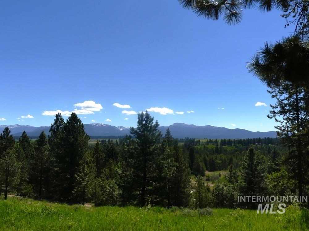 95 Sundance Drive, McCall, Idaho 83638, Land For Sale, Price $375,000,MLS 98908245