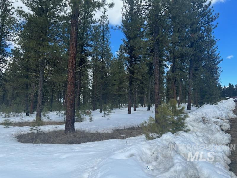 TBD Short Line, New Meadows, Idaho 83654, Land For Sale, Price $299,900,MLS 98908246