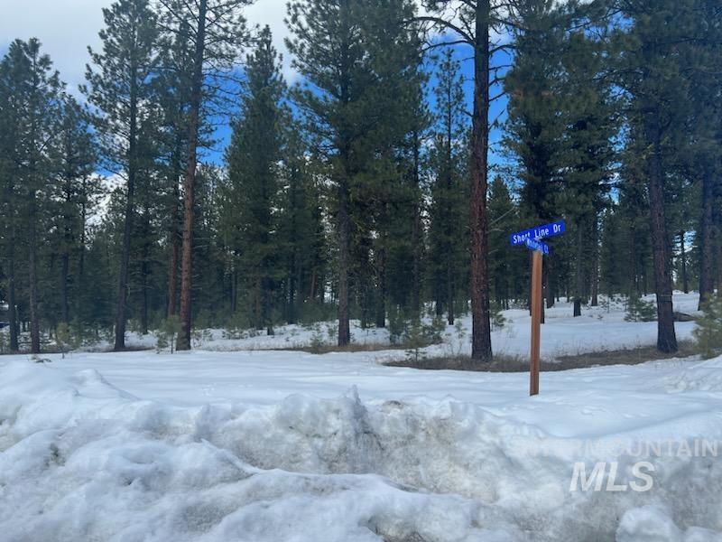 TBD Short Line, New Meadows, Idaho 83654, Land For Sale, Price $299,900,MLS 98908246