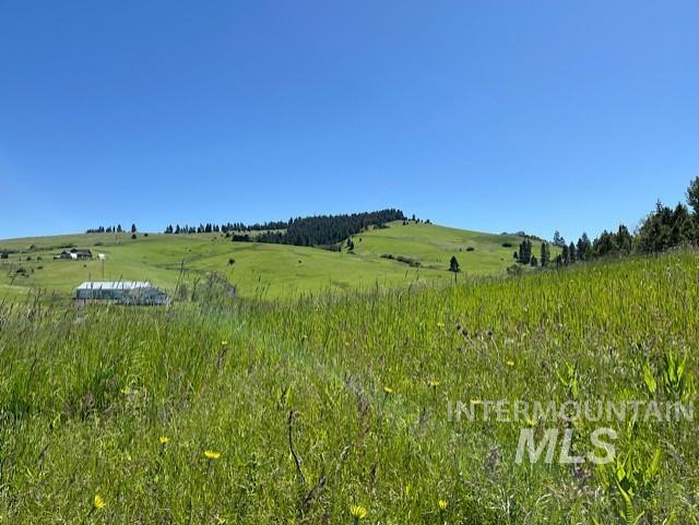 TBD Blaine, Moscow, Idaho 83843, Land For Sale, Price $280,000,MLS 98908316