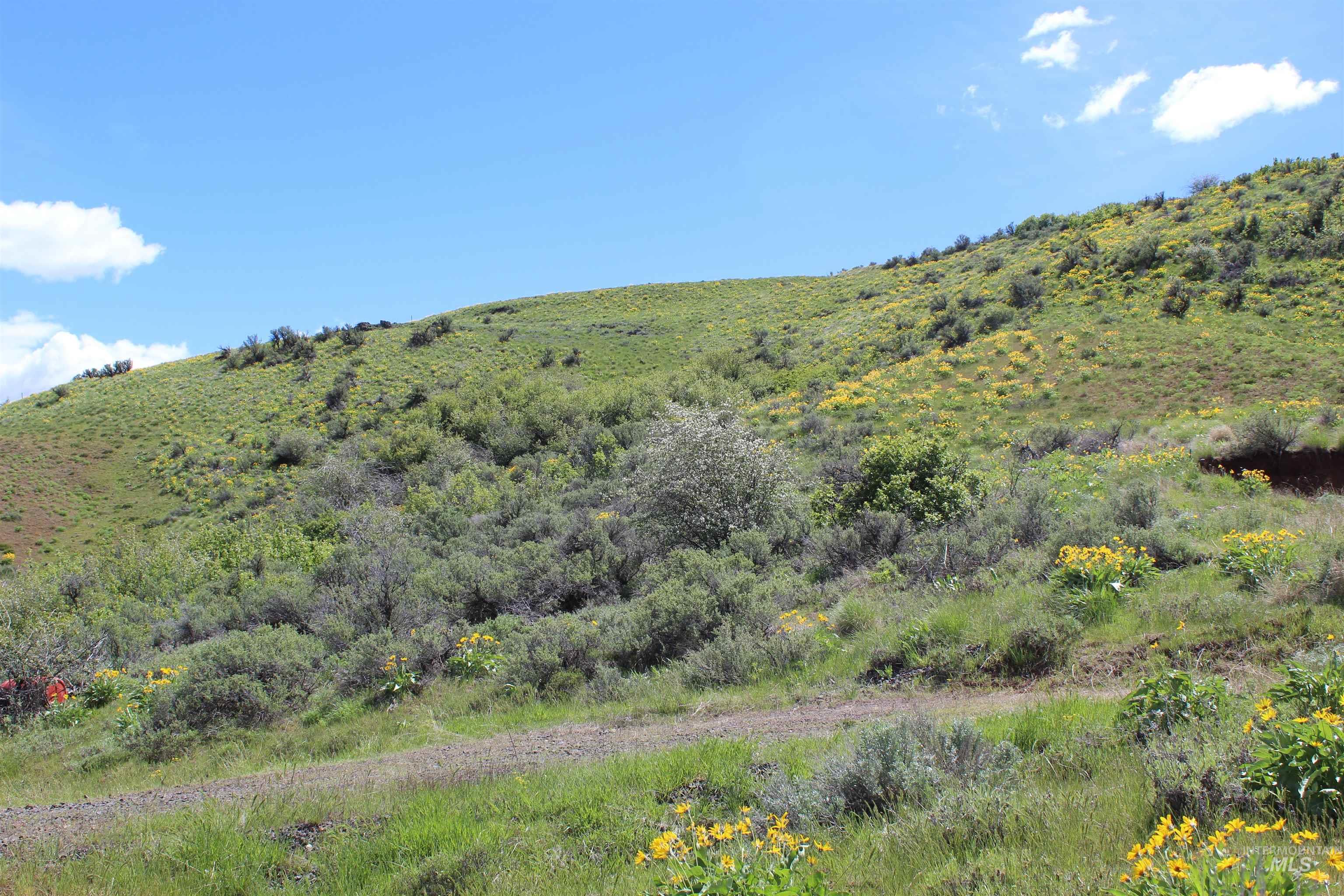 TBD Goodrich Road, Council, Idaho 83612, Land For Sale, Price $225,000,MLS 98908462