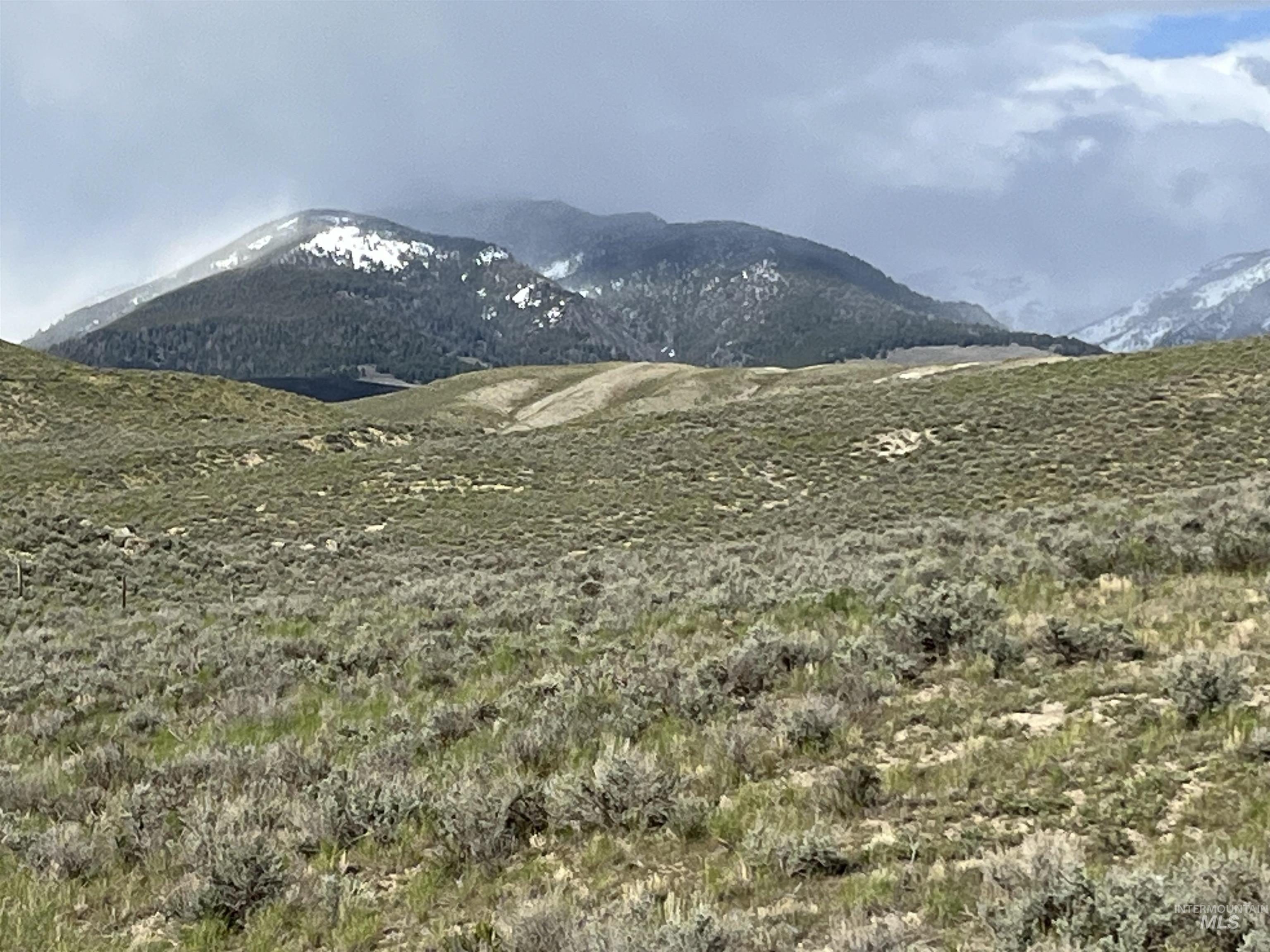 Lot 7 Sagebrush Avenue, Salmon, Idaho 83467, Land For Sale, Price $169,000,MLS 98908613