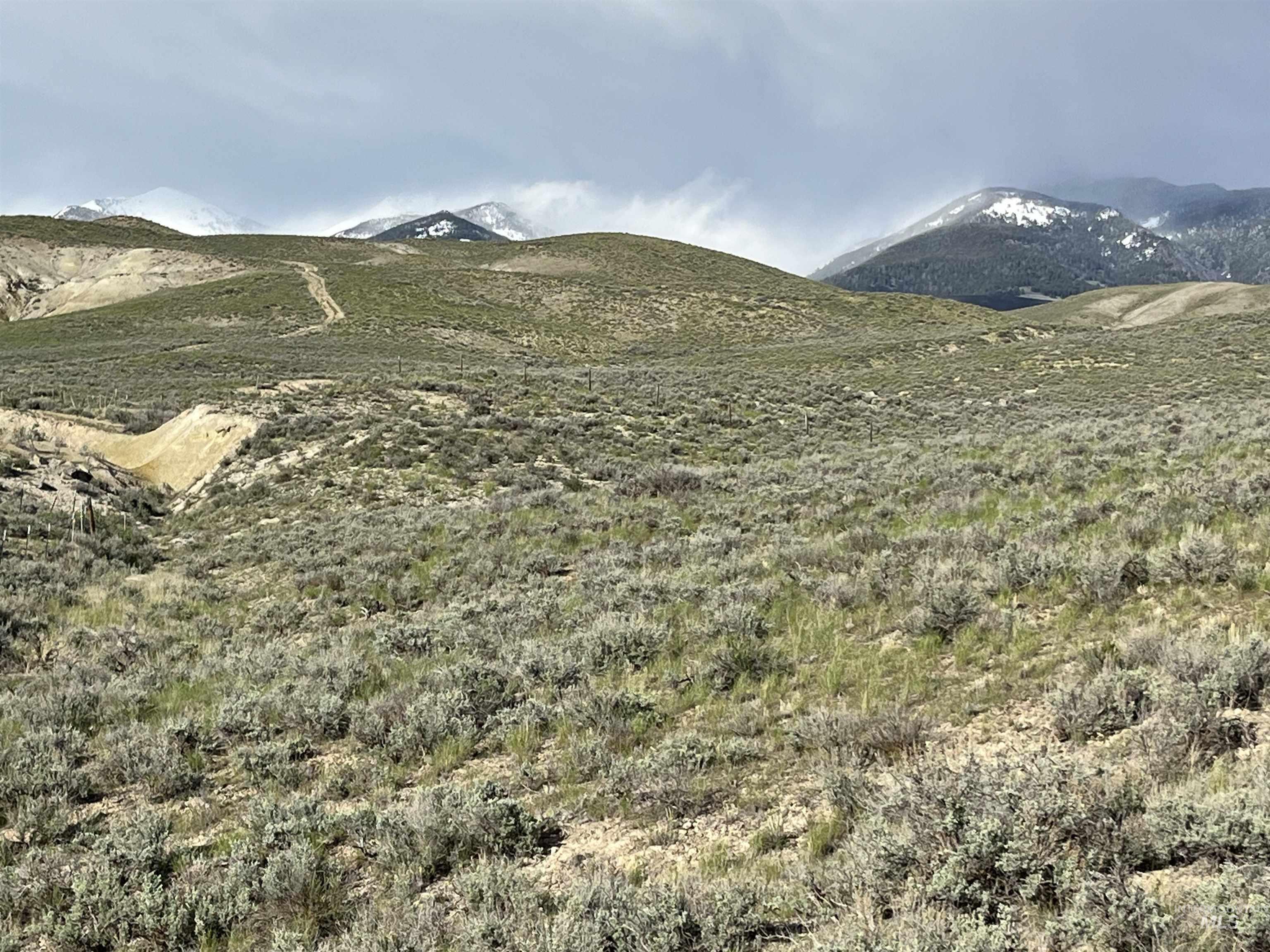 Lot 7 Sagebrush Avenue, Salmon, Idaho 83467, Land For Sale, Price $120,000, 98908613