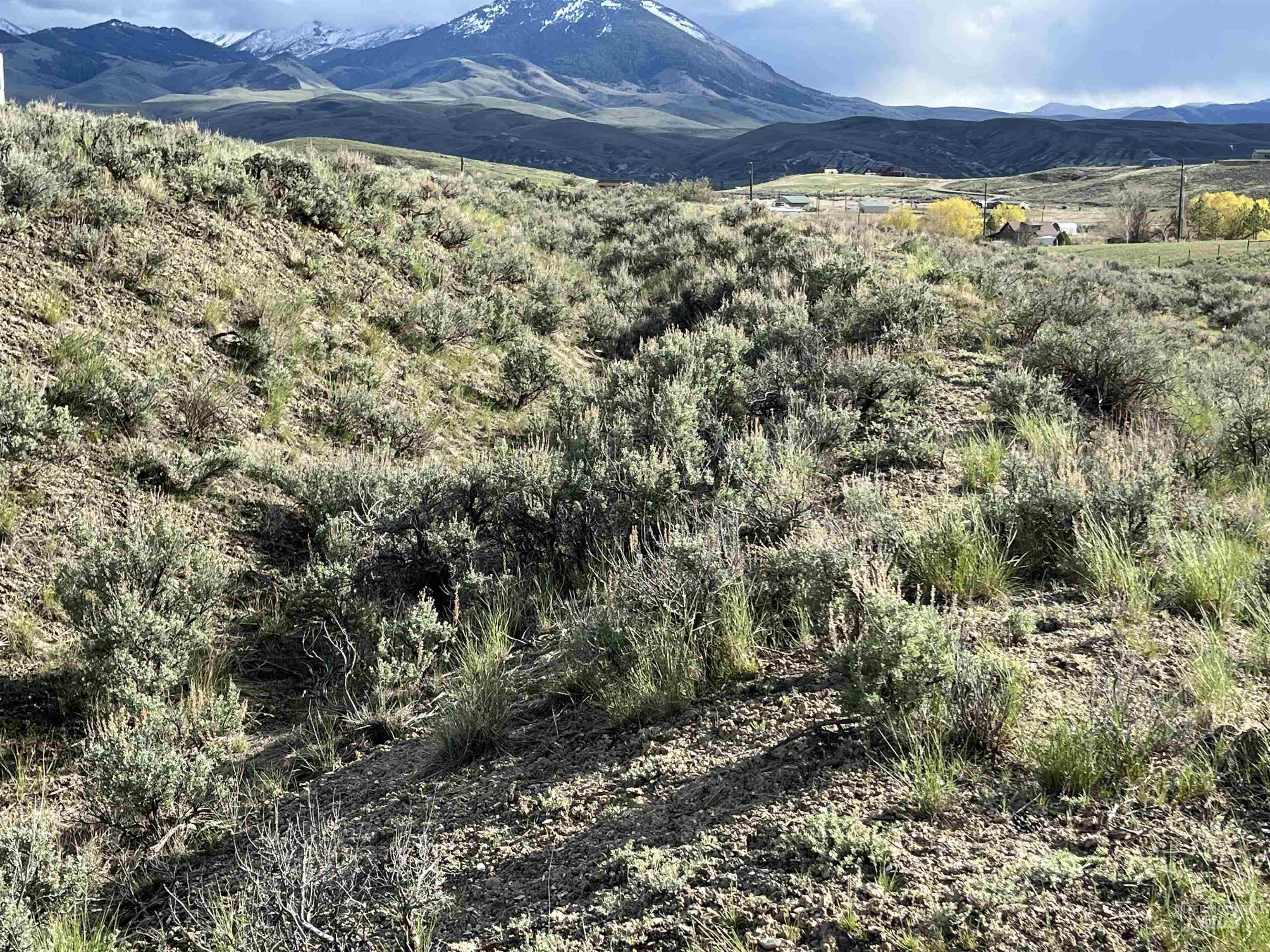 Lot 7 Sagebrush Avenue, Salmon, Idaho 83467, Land For Sale, Price $120,000, 98908613
