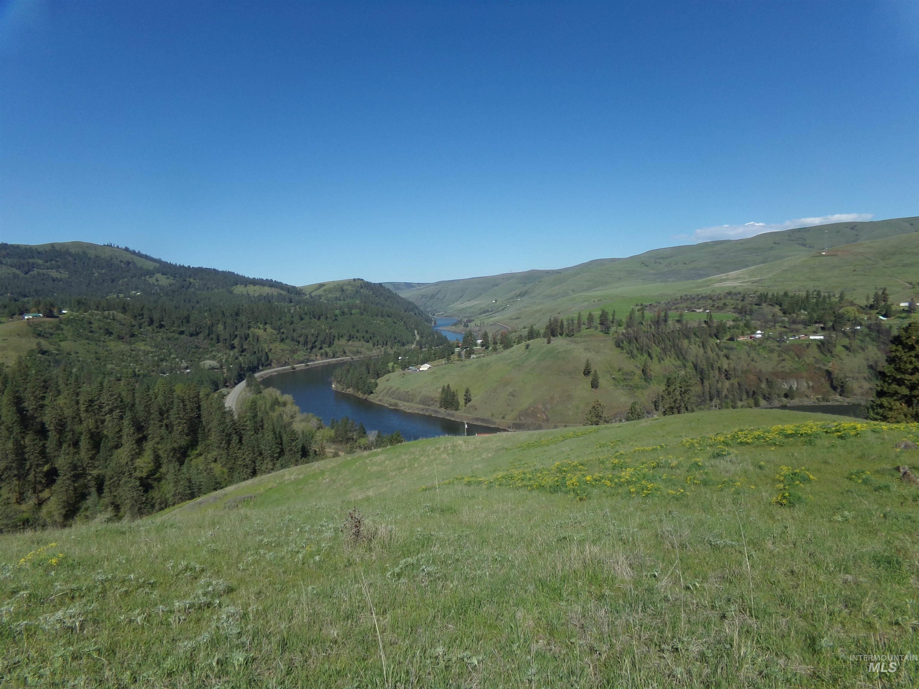 TBD Summit Road, Lenore, Idaho 83501, Land For Sale, Price $249,900,MLS 98908713