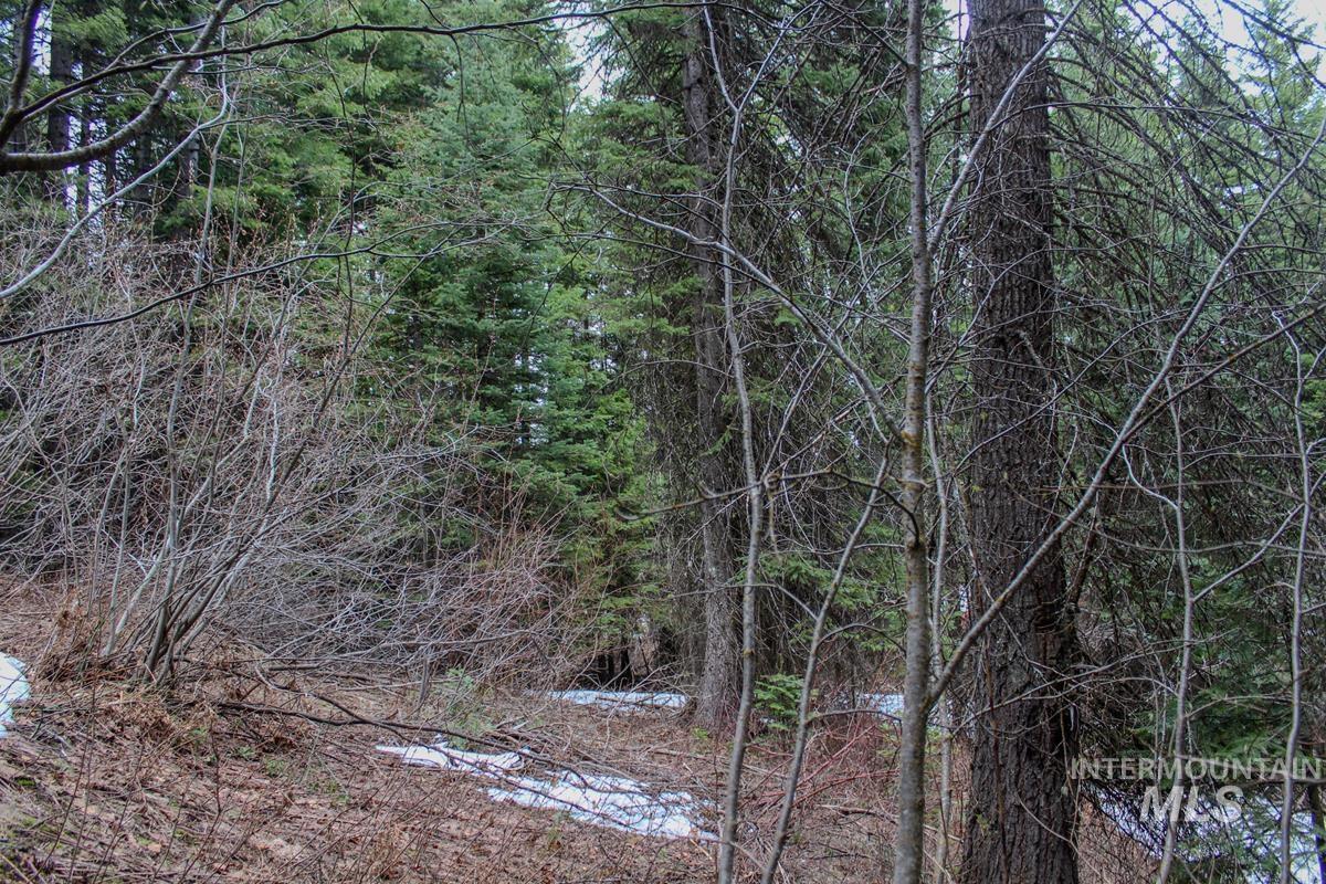 595 West Mountain Road, Cascade, Idaho 83611, Land For Sale, Price $89,000,MLS 98908931