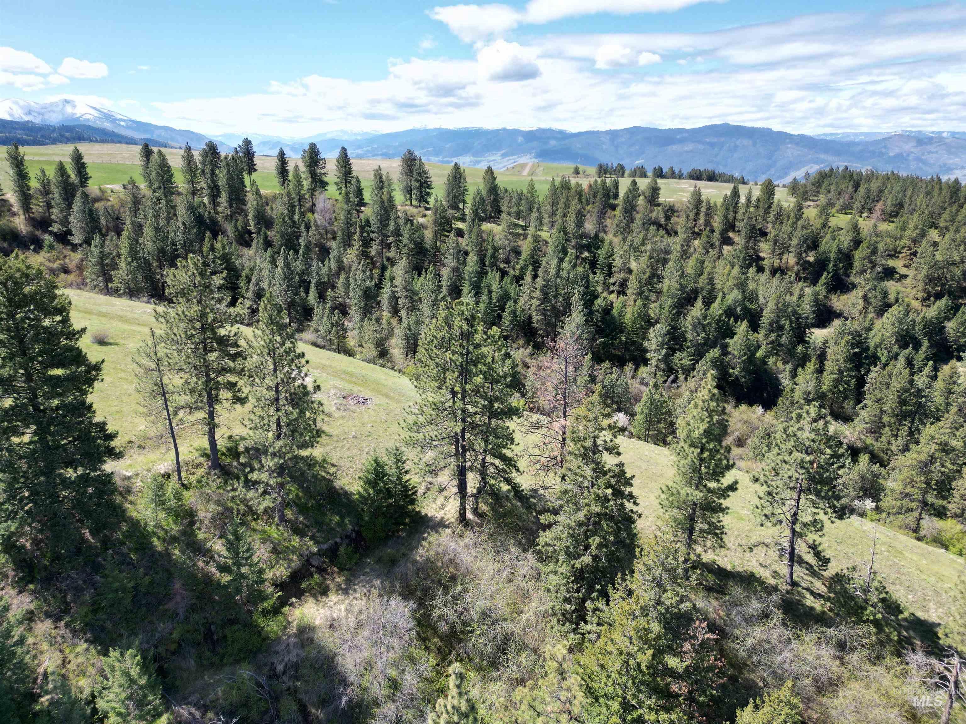 TBD Banner Ridge, White Bird, Idaho 83554-5026, Land For Sale, Price $275,000,MLS 98908933