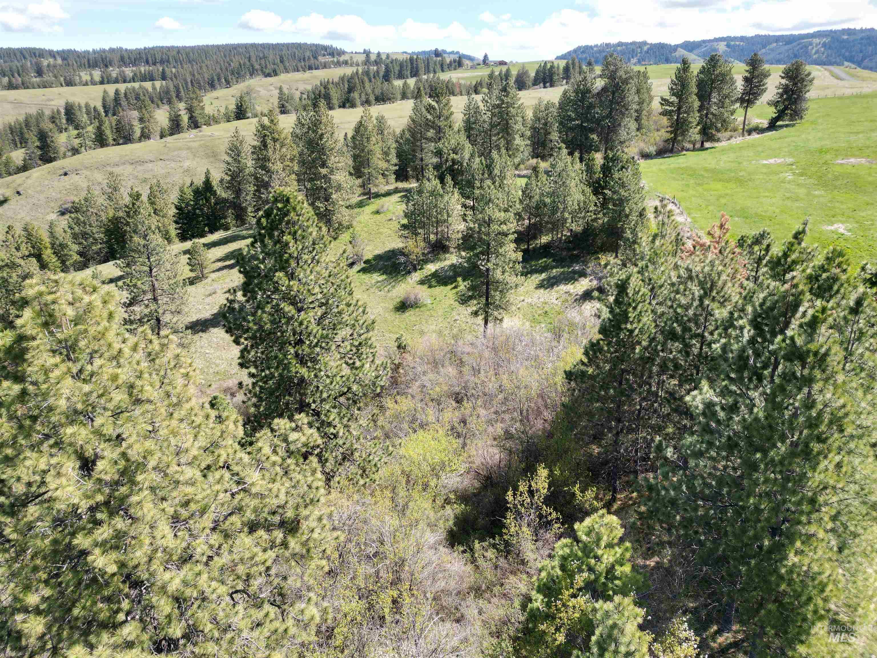 TBD Banner Ridge, White Bird, Idaho 83554-5026, Land For Sale, Price $275,000, 98908933