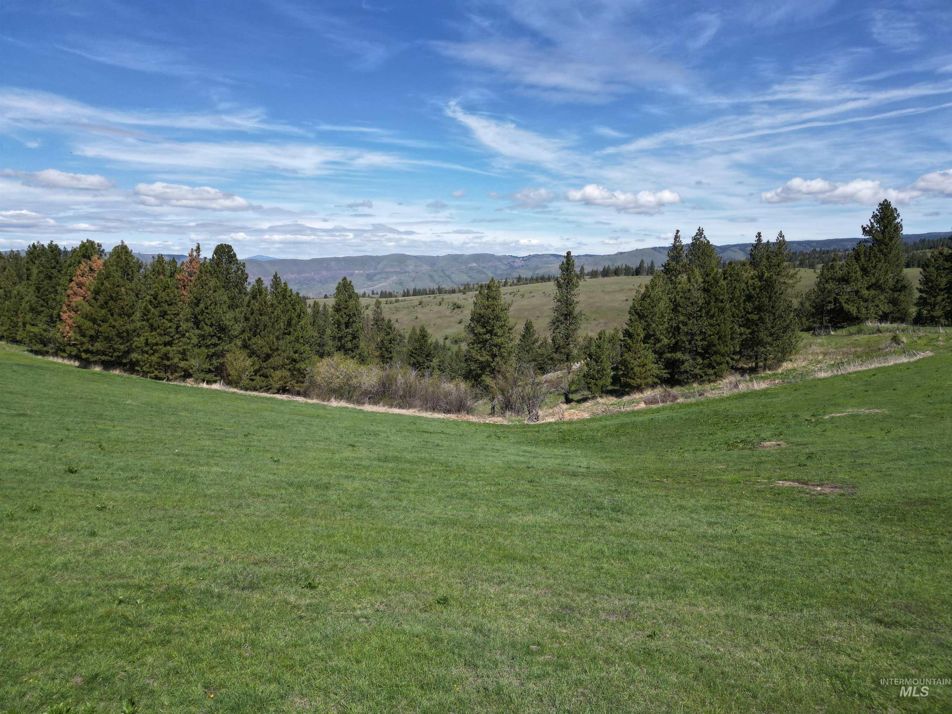TBD Banner Ridge, White Bird, Idaho 83554-5026, Land For Sale, Price $275,000, 98908933