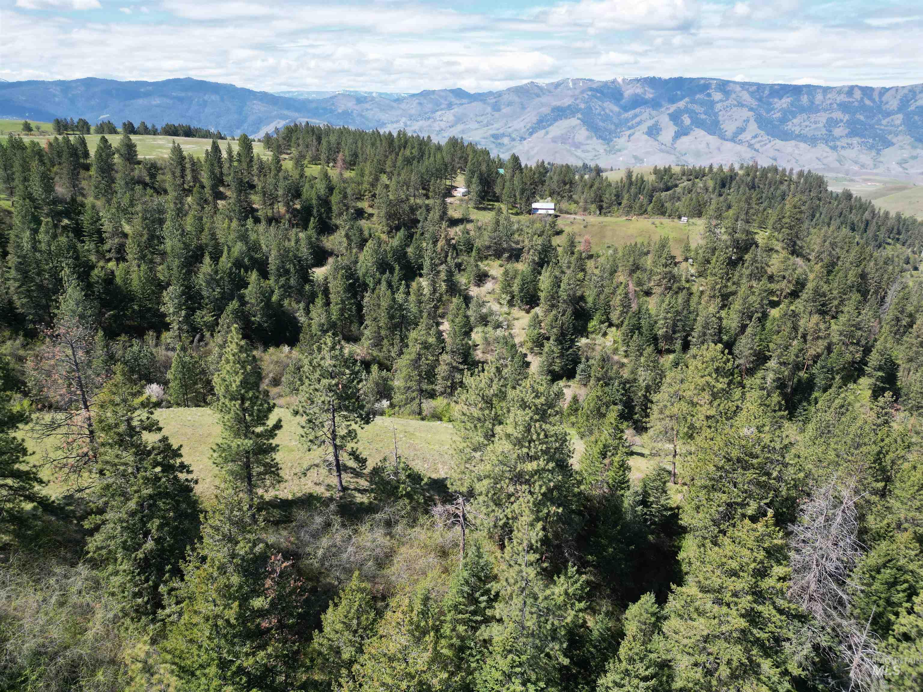 TBD Banner Ridge, White Bird, Idaho 83554-5026, Land For Sale, Price $275,000,MLS 98908933