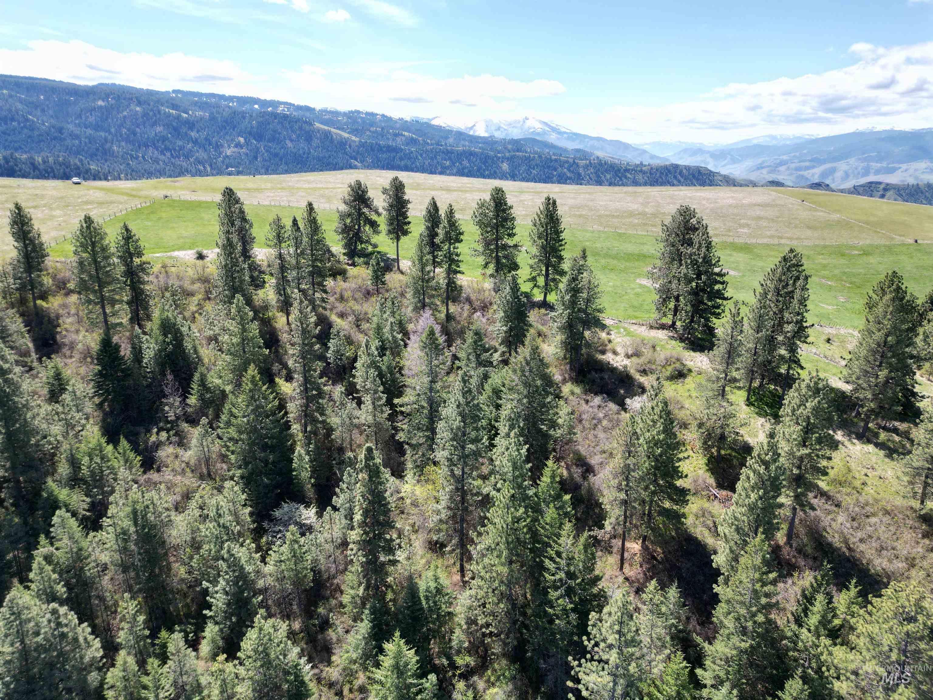 TBD Banner Ridge, White Bird, Idaho 83554-5026, Land For Sale, Price $275,000, 98908933