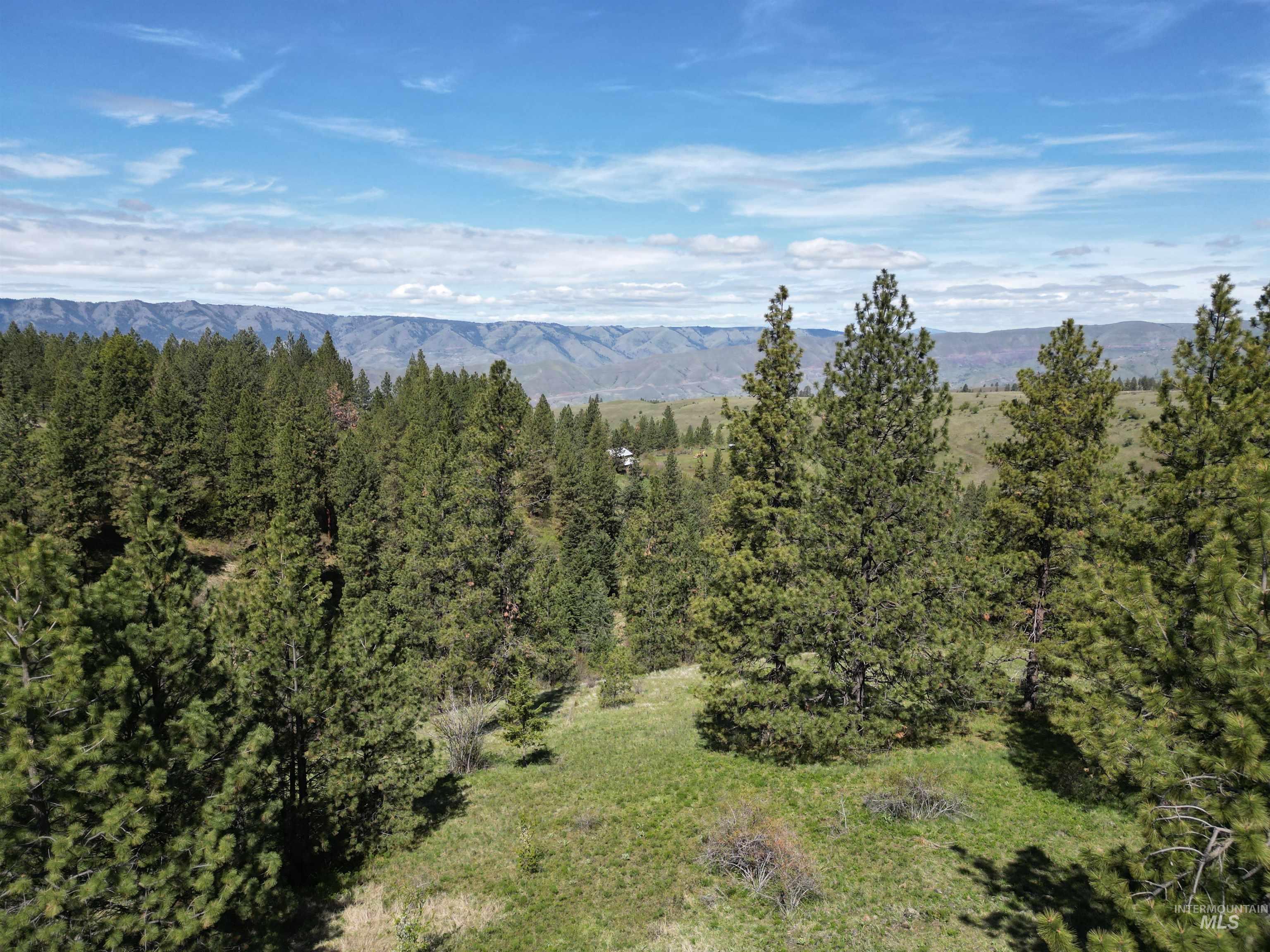 TBD Banner Ridge, White Bird, Idaho 83554-5026, Land For Sale, Price $275,000,MLS 98908933