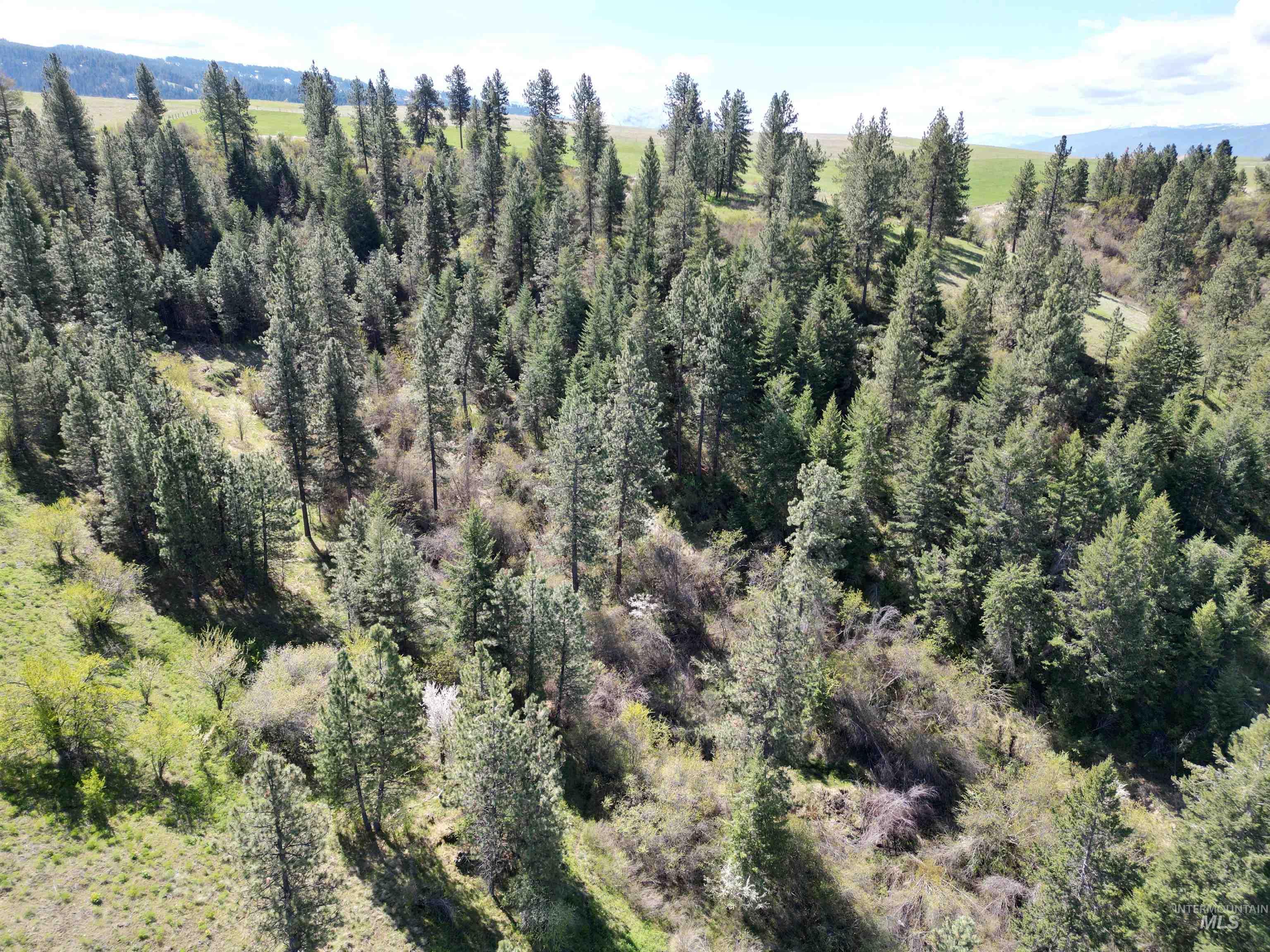TBD Banner Ridge, White Bird, Idaho 83554-5026, Land For Sale, Price $275,000, 98908933