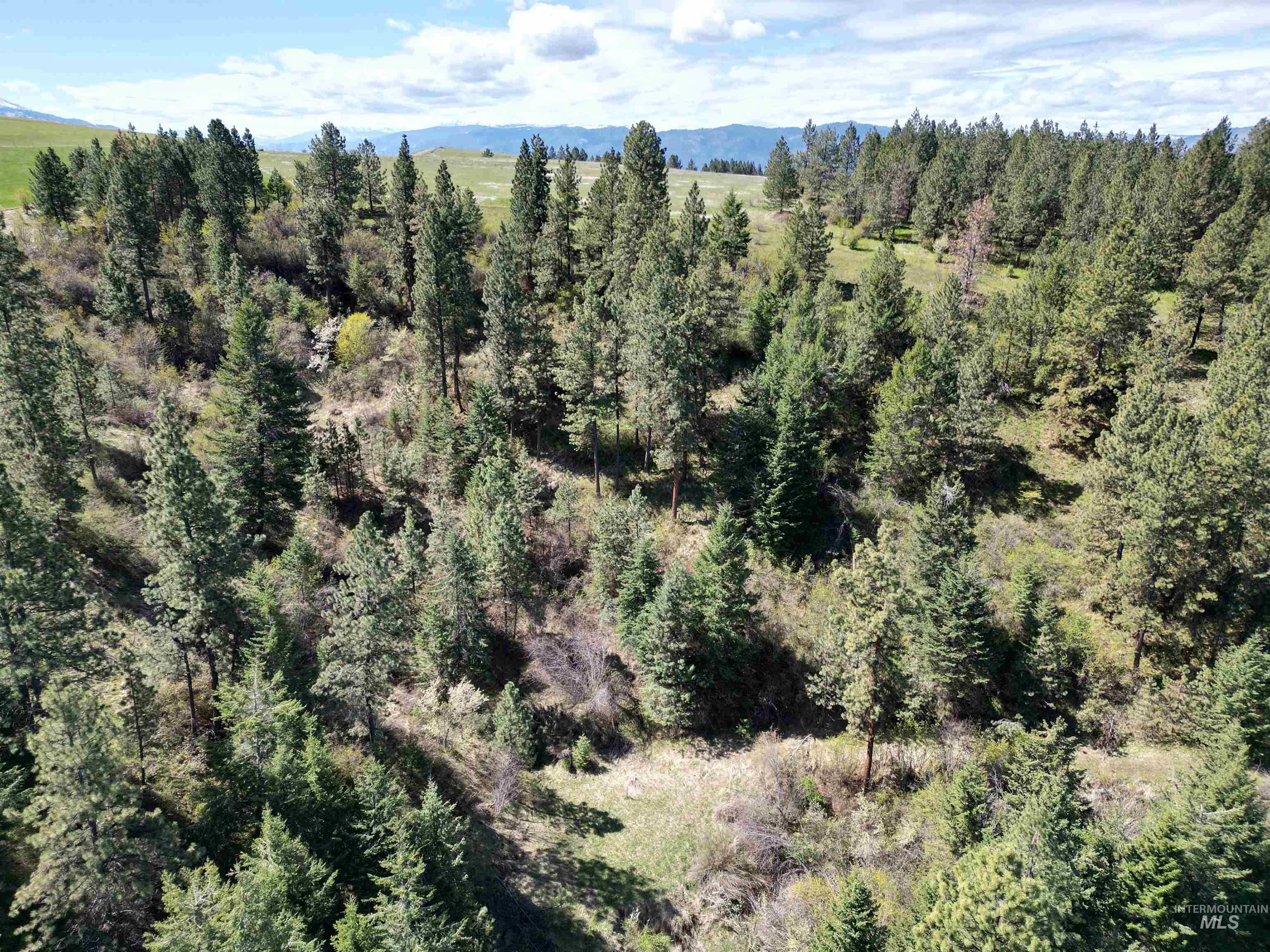 TBD Banner Ridge, White Bird, Idaho 83554-5026, Land For Sale, Price $275,000,MLS 98908933