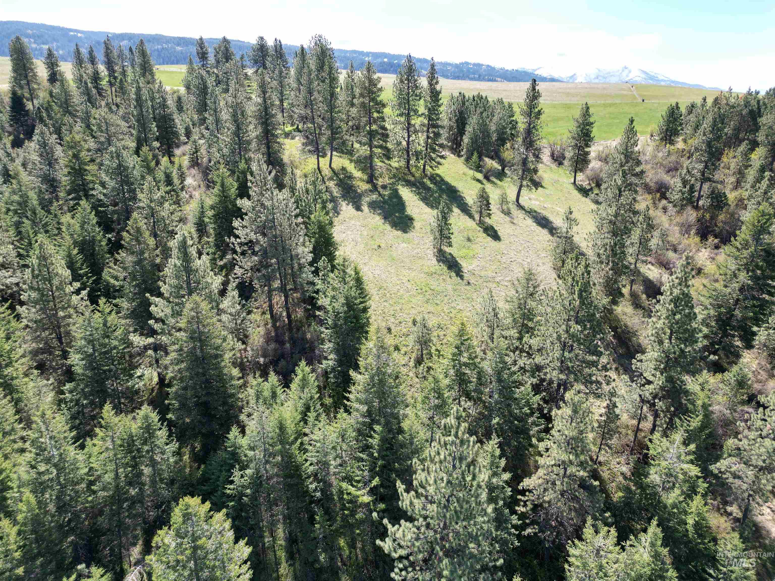 TBD Banner Ridge, White Bird, Idaho 83554-5026, Land For Sale, Price $275,000, 98908933
