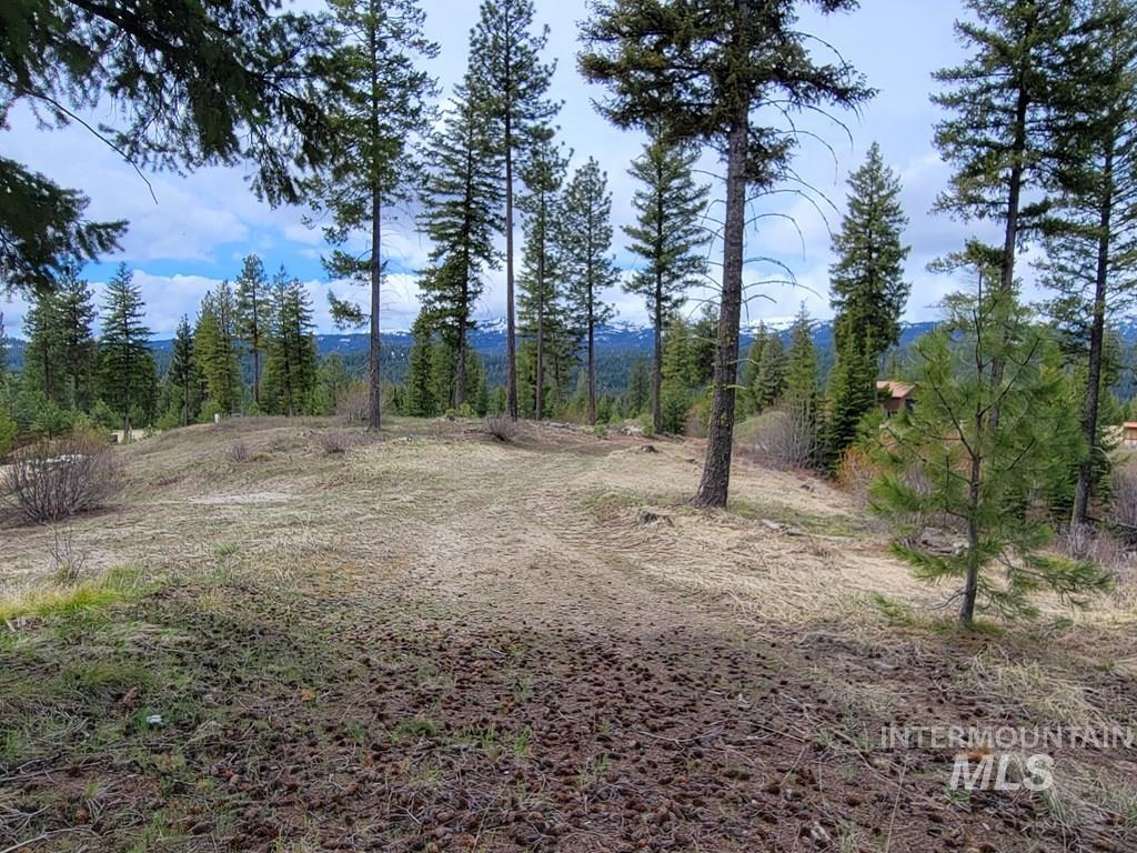 TBD Coit Drive, Cascade, Idaho 83611, Land For Sale, Price $245,000,MLS 98909251