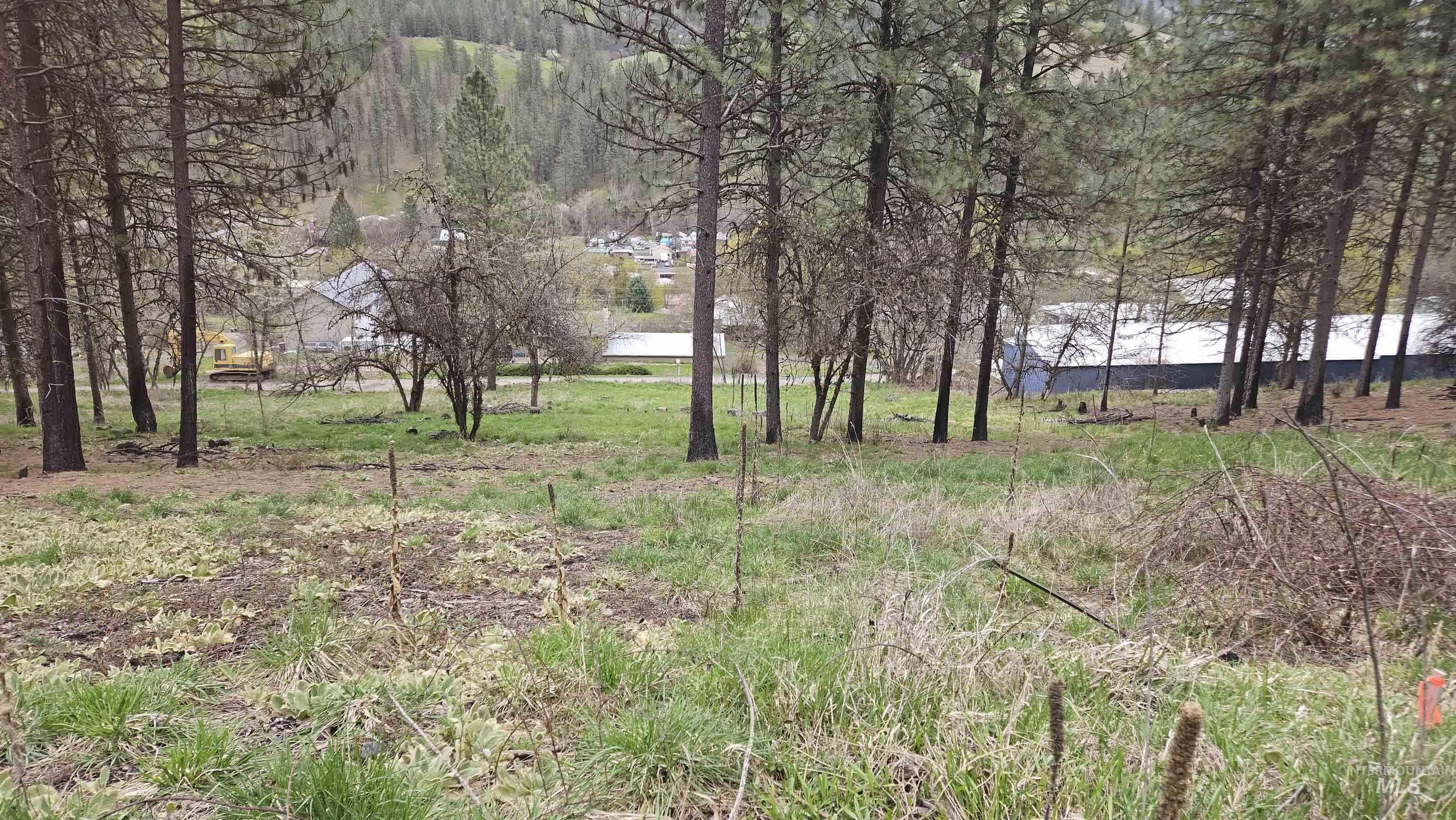 TBD May St Blk 56, Lot 9, Peck, Idaho 83545, Land For Sale, Price $42,000,MLS 98909306