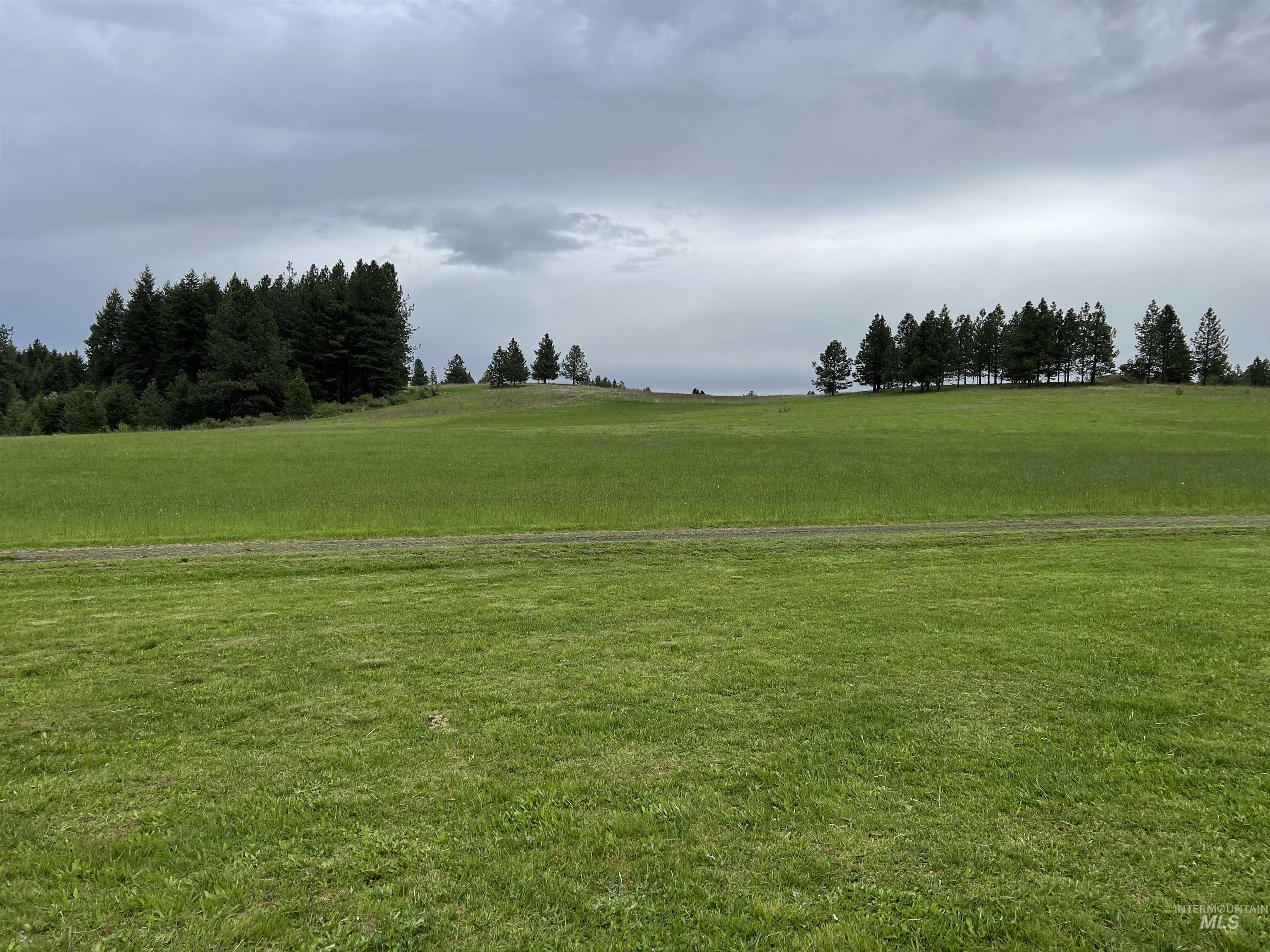 216 Ulmer Road, Kooskia, Idaho 83539, 3 Bedrooms, 1.5 Bathrooms, Farm & Ranch For Sale, Price $2,999,999, 98909327