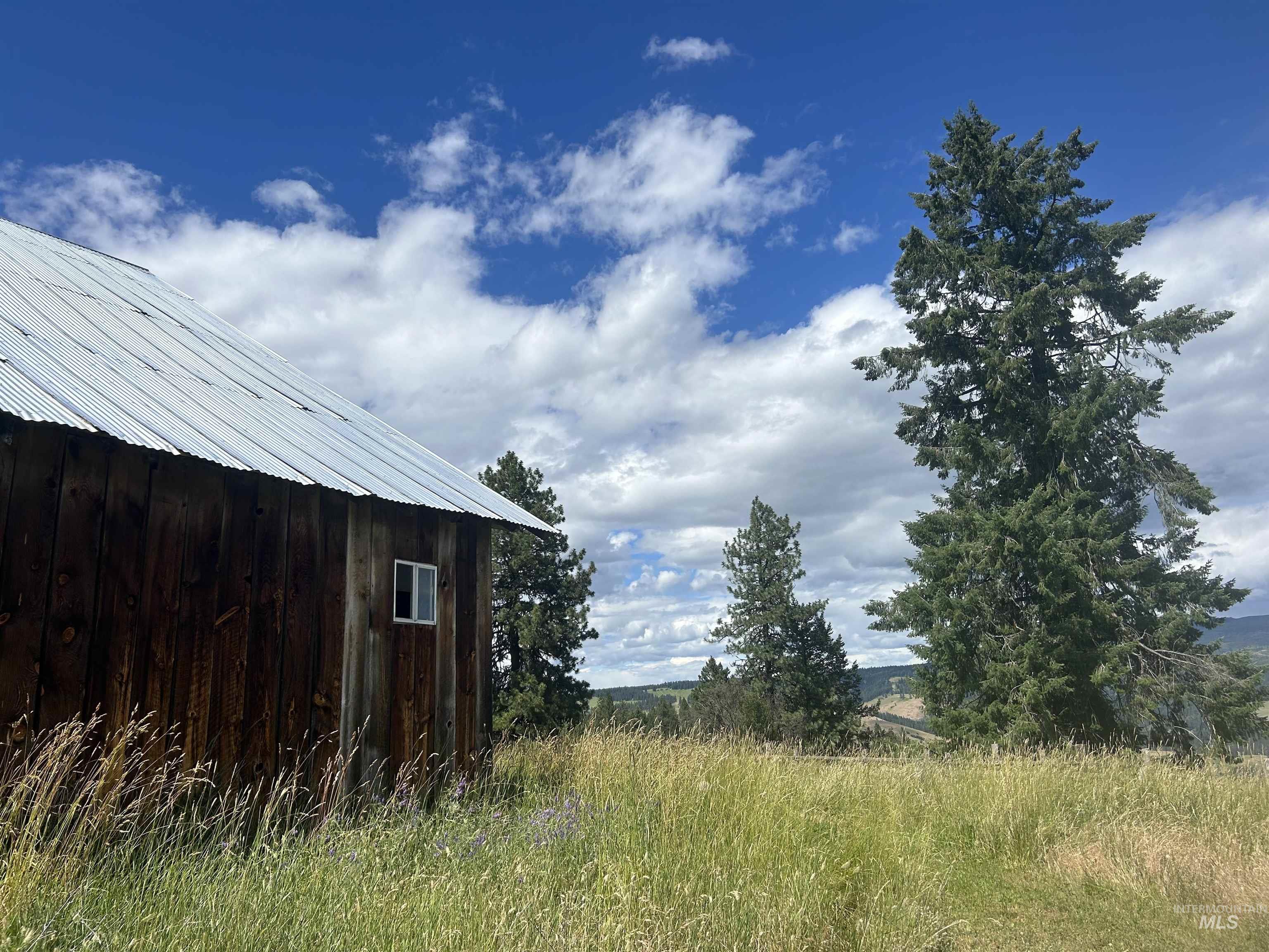 216 Ulmer Road, Kooskia, Idaho 83539, 3 Bedrooms, 1.5 Bathrooms, Farm & Ranch For Sale, Price $2,999,999, 98909327