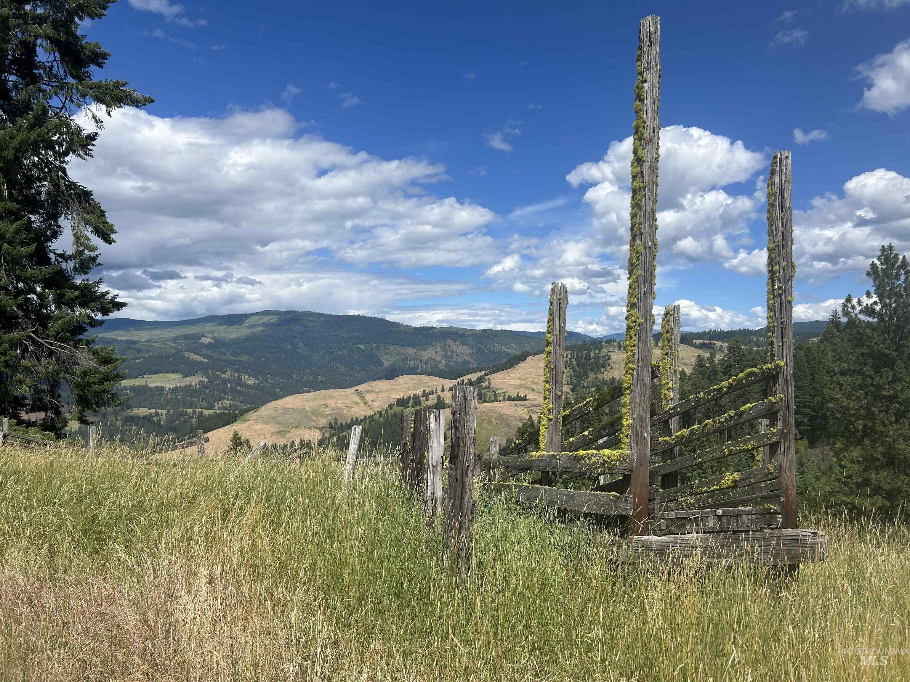216 Ulmer Road, Kooskia, Idaho 83539, 3 Bedrooms, 1.5 Bathrooms, Farm & Ranch For Sale, Price $2,999,999, 98909327