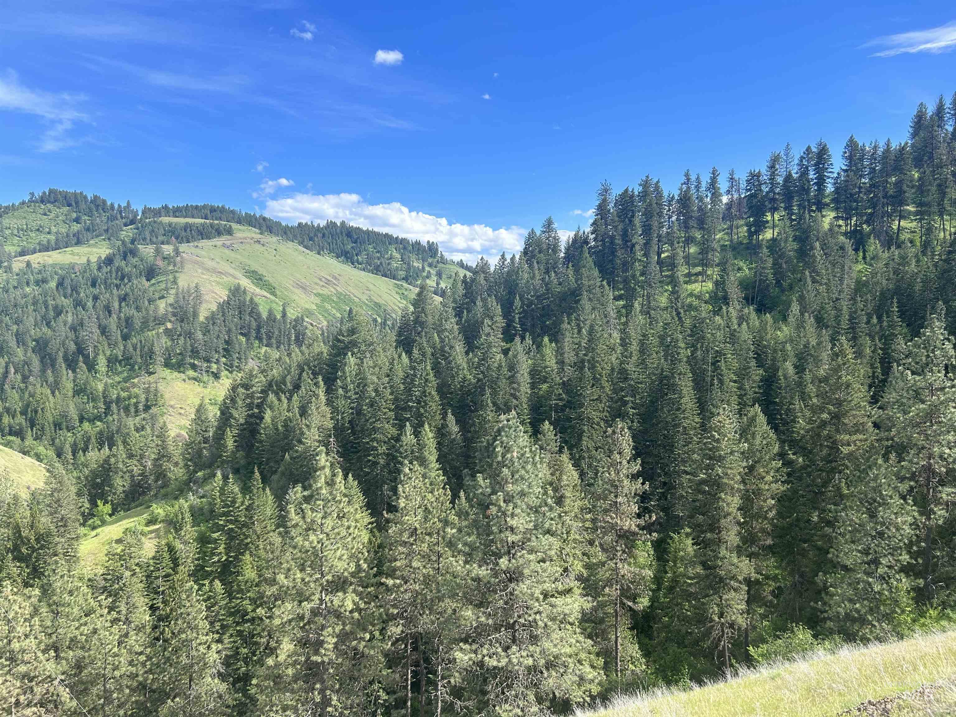 216 Ulmer Road, Kooskia, Idaho 83539, 3 Bedrooms, 1.5 Bathrooms, Farm & Ranch For Sale, Price $2,999,999, 98909327