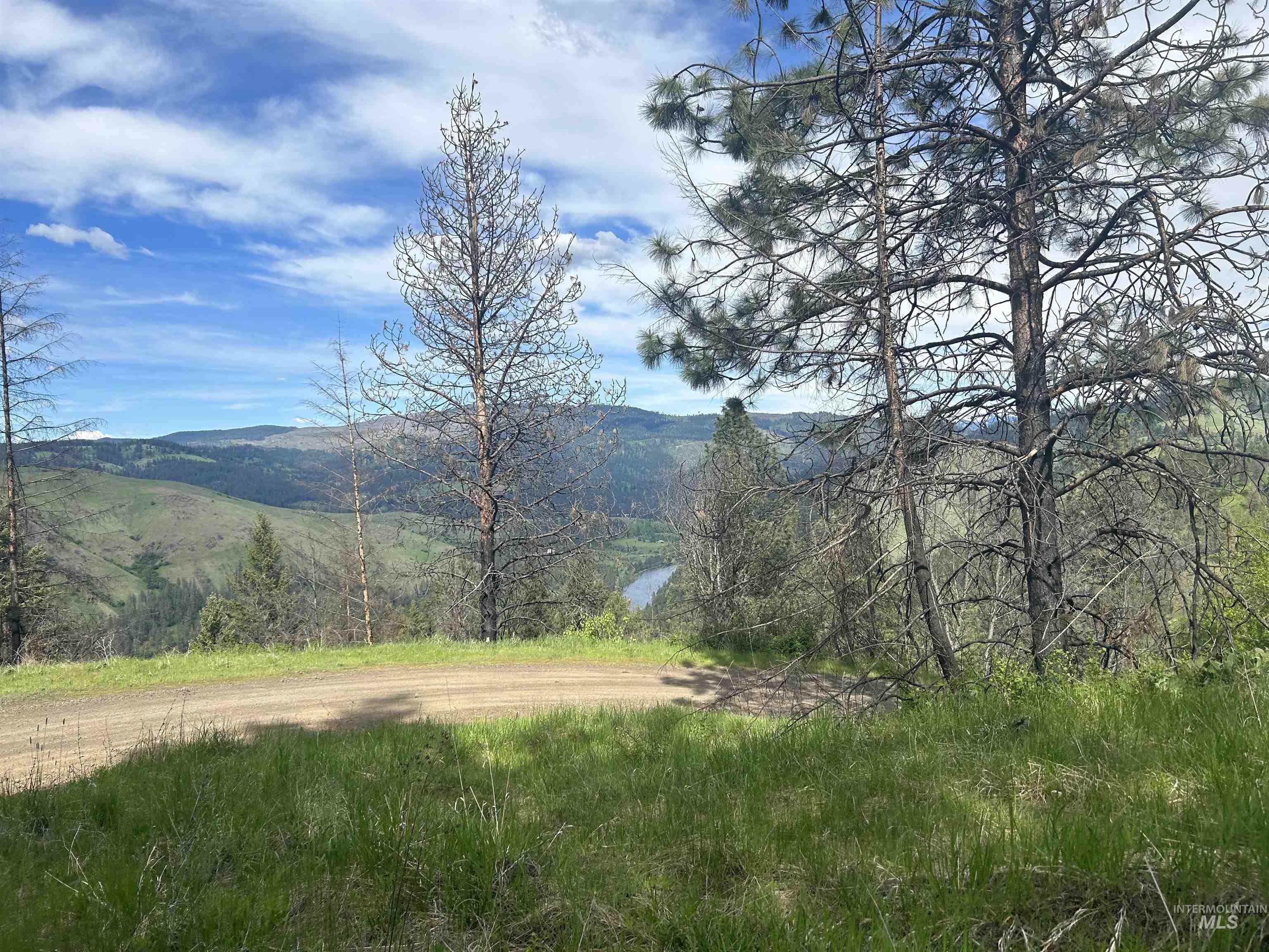 216 Ulmer Road, Kooskia, Idaho 83539, 3 Bedrooms, 1.5 Bathrooms, Farm & Ranch For Sale, Price $2,999,999, 98909327