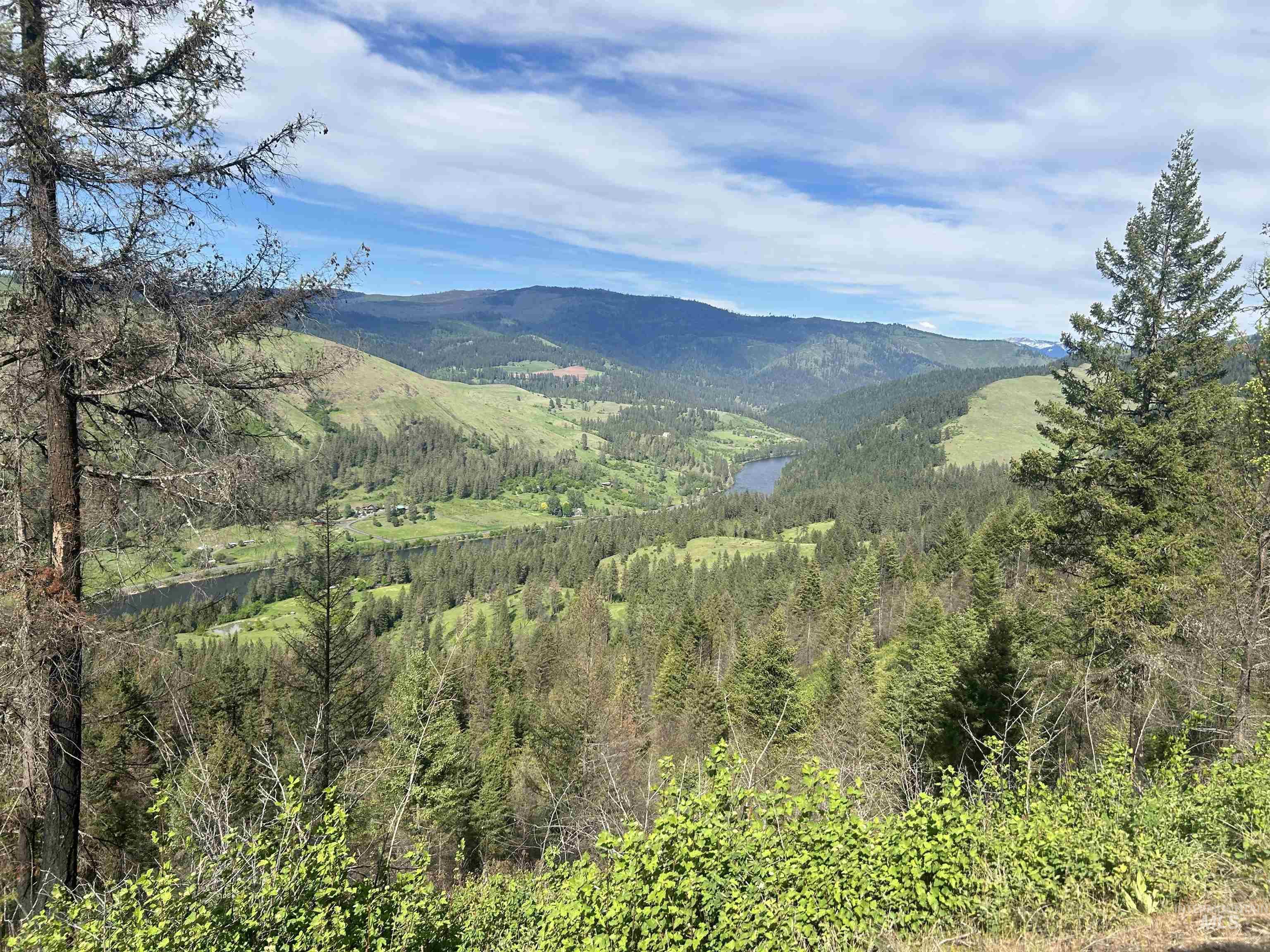 216 Ulmer Road, Kooskia, Idaho 83539, 3 Bedrooms, 1.5 Bathrooms, Farm & Ranch For Sale, Price $2,999,999, 98909327