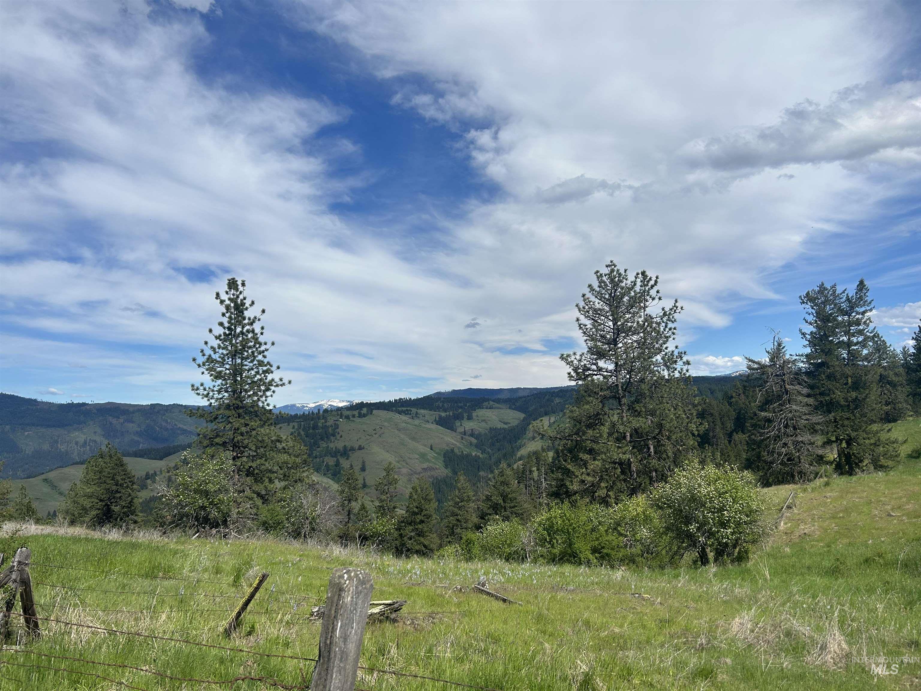 216 Ulmer Road, Kooskia, Idaho 83539, 3 Bedrooms, 1.5 Bathrooms, Farm & Ranch For Sale, Price $2,999,999, 98909327