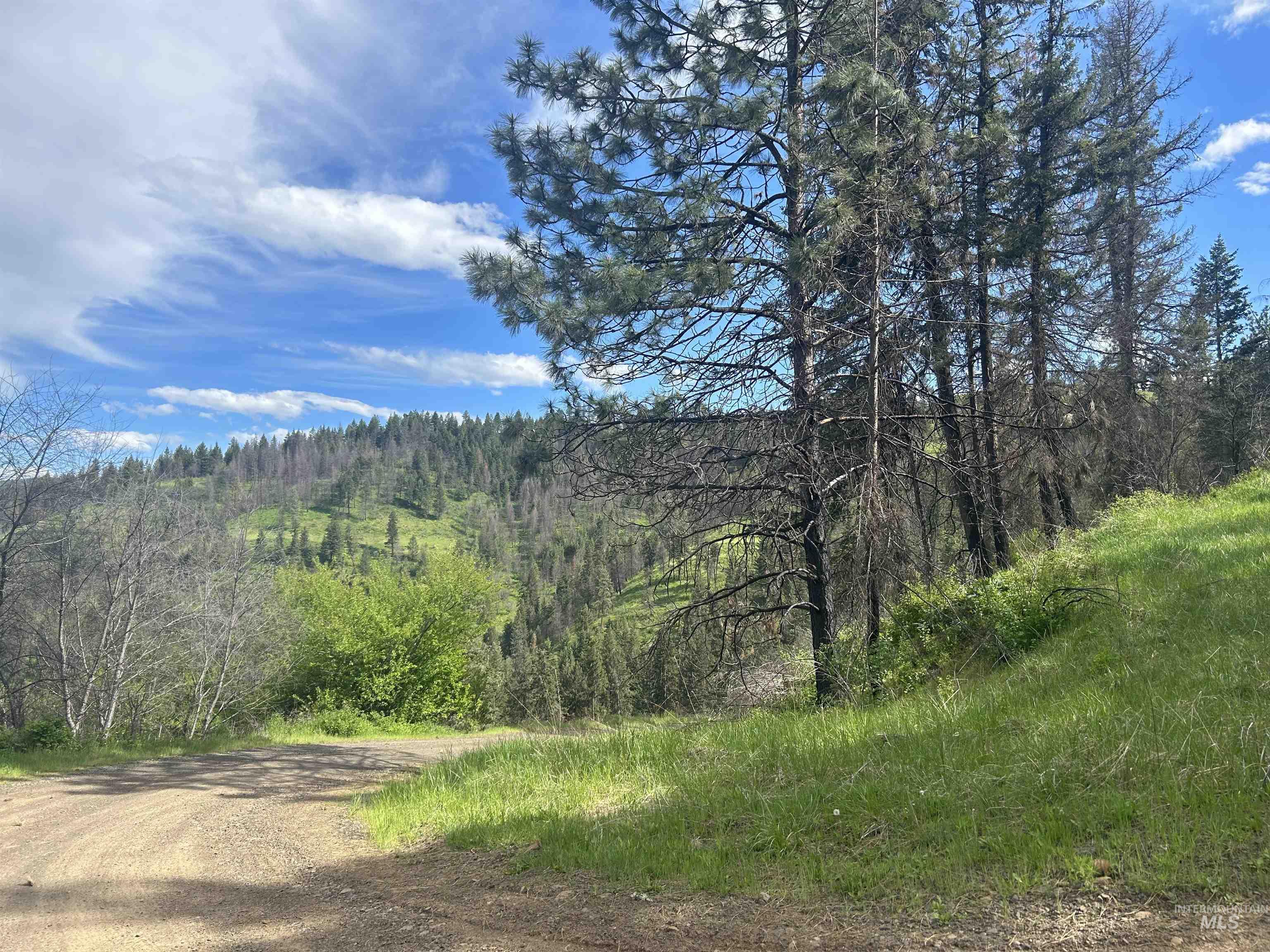 216 Ulmer Road, Kooskia, Idaho 83539, 3 Bedrooms, 1.5 Bathrooms, Farm & Ranch For Sale, Price $2,999,999, 98909327