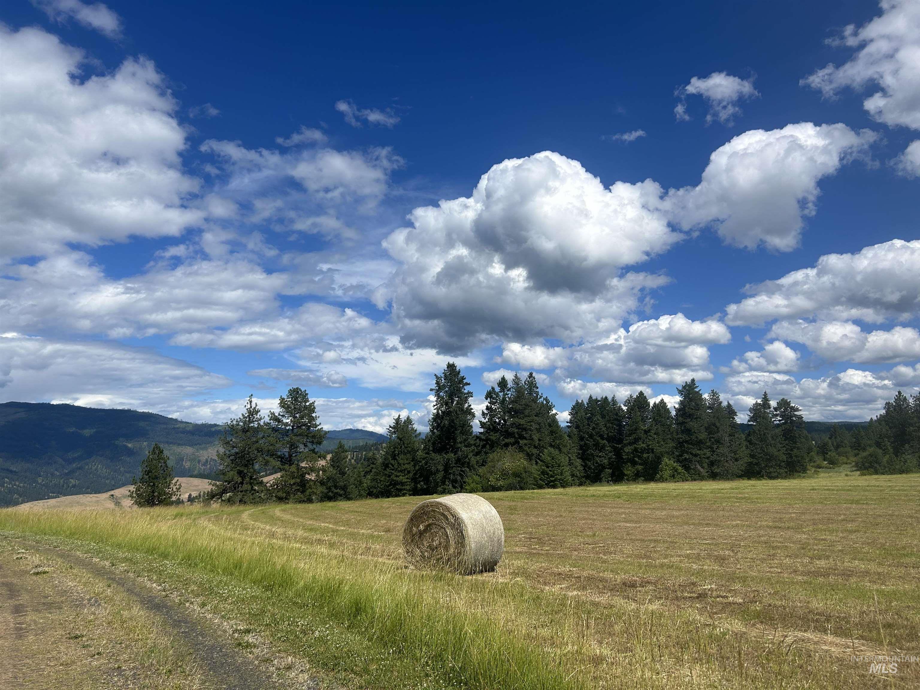 216 Ulmer Road, Kooskia, Idaho 83539, 3 Bedrooms, 1.5 Bathrooms, Farm & Ranch For Sale, Price $2,999,999, 98909327