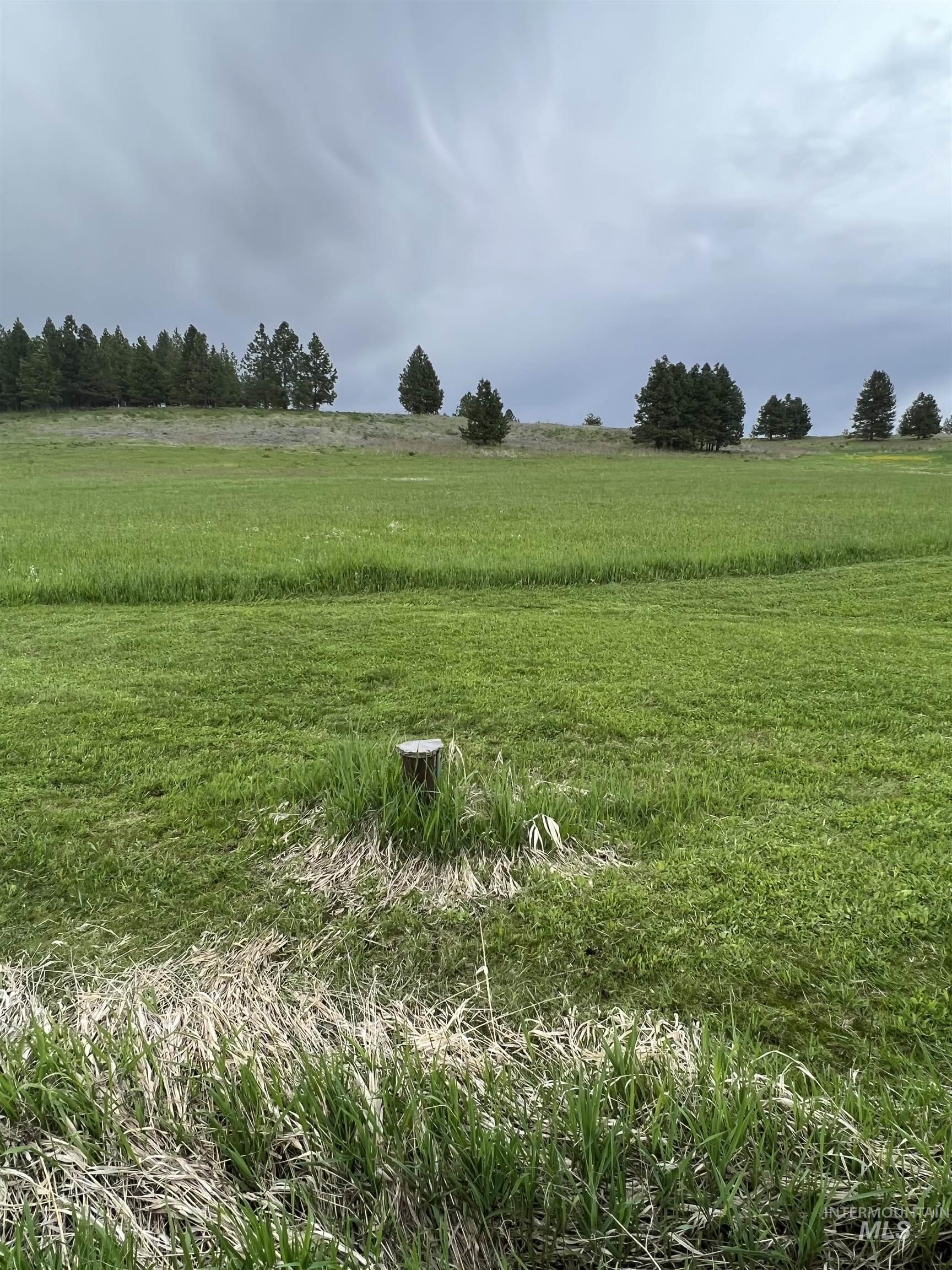 216 Ulmer Road, Kooskia, Idaho 83539, 3 Bedrooms, 1.5 Bathrooms, Farm & Ranch For Sale, Price $2,999,999, 98909327