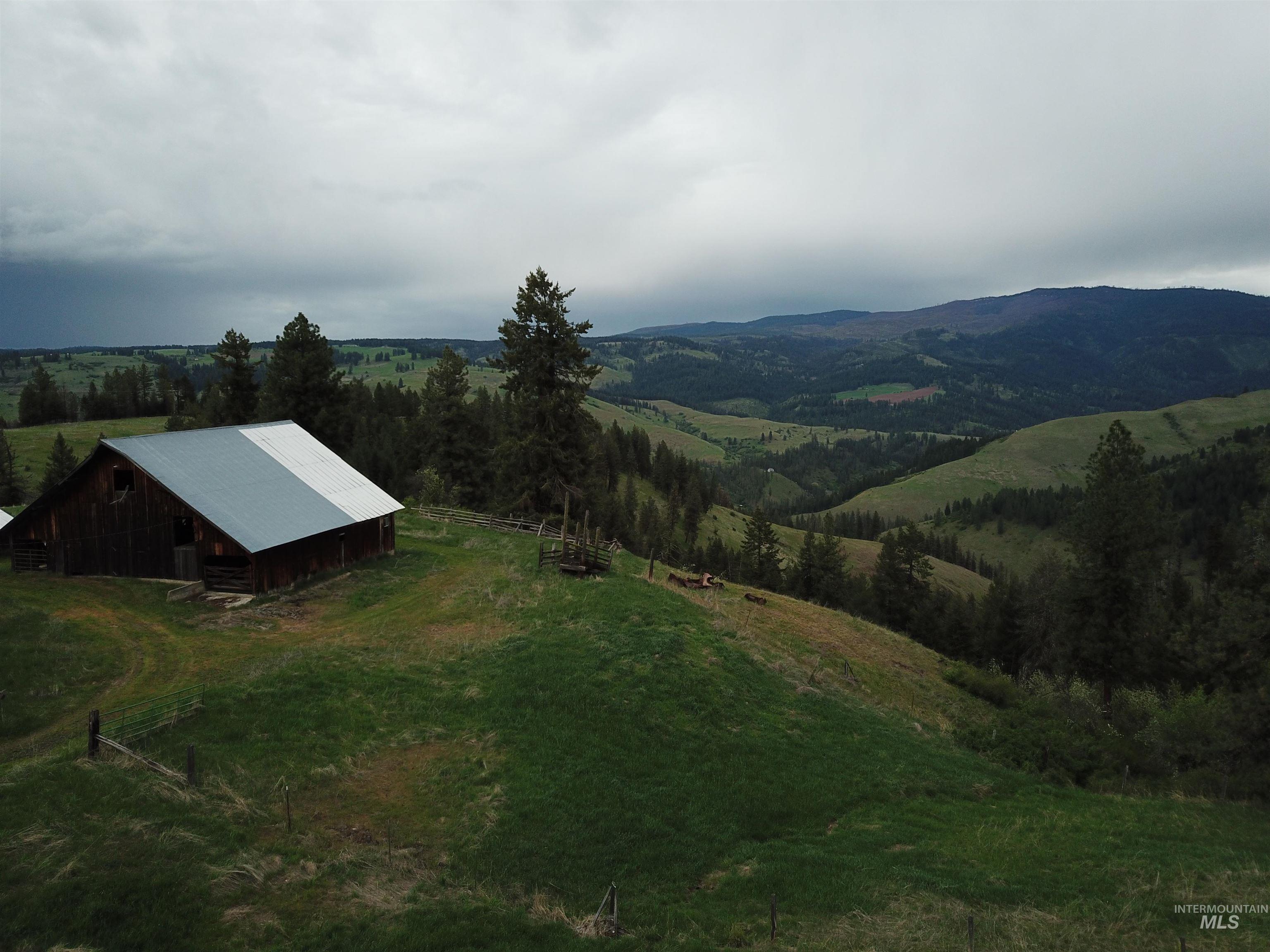 216 Ulmer Road, Kooskia, Idaho 83539, 3 Bedrooms, 1.5 Bathrooms, Farm & Ranch For Sale, Price $2,999,999, 98909327