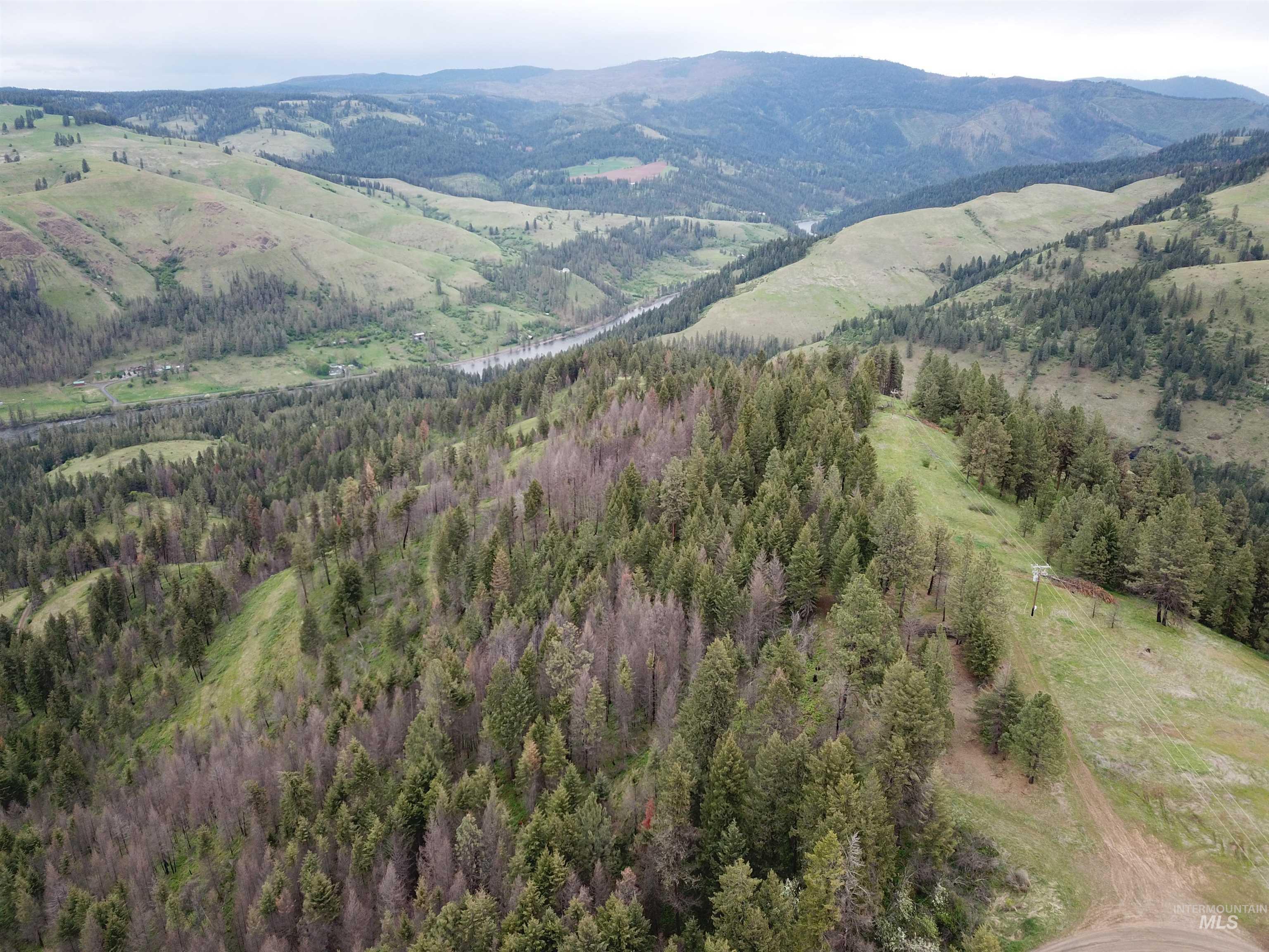 216 Ulmer Road, Kooskia, Idaho 83539, 3 Bedrooms, 1.5 Bathrooms, Farm & Ranch For Sale, Price $2,999,999, 98909327