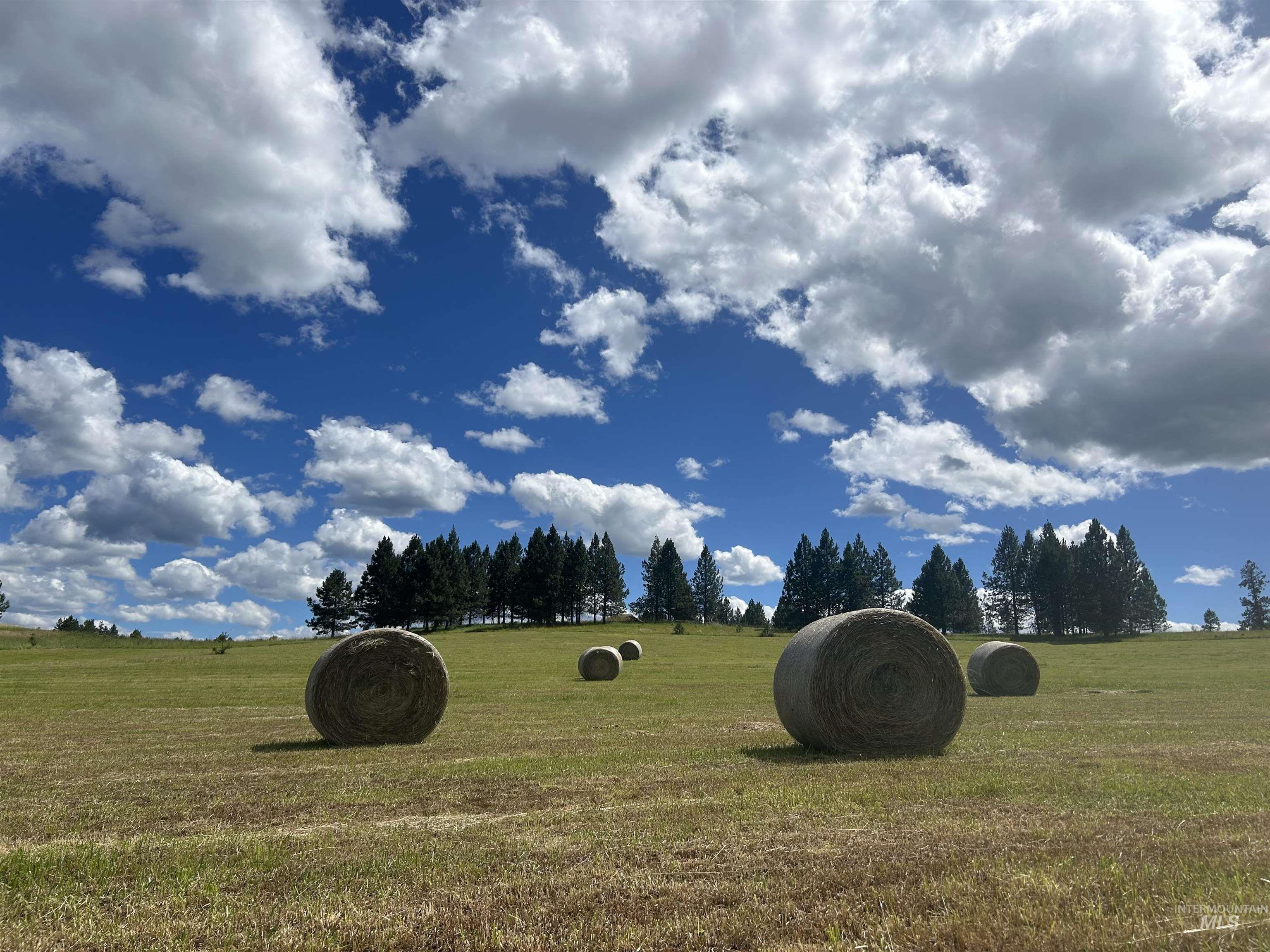 216 Ulmer Road, Kooskia, Idaho 83539, 3 Bedrooms, 1.5 Bathrooms, Farm & Ranch For Sale, Price $2,999,999, 98909327