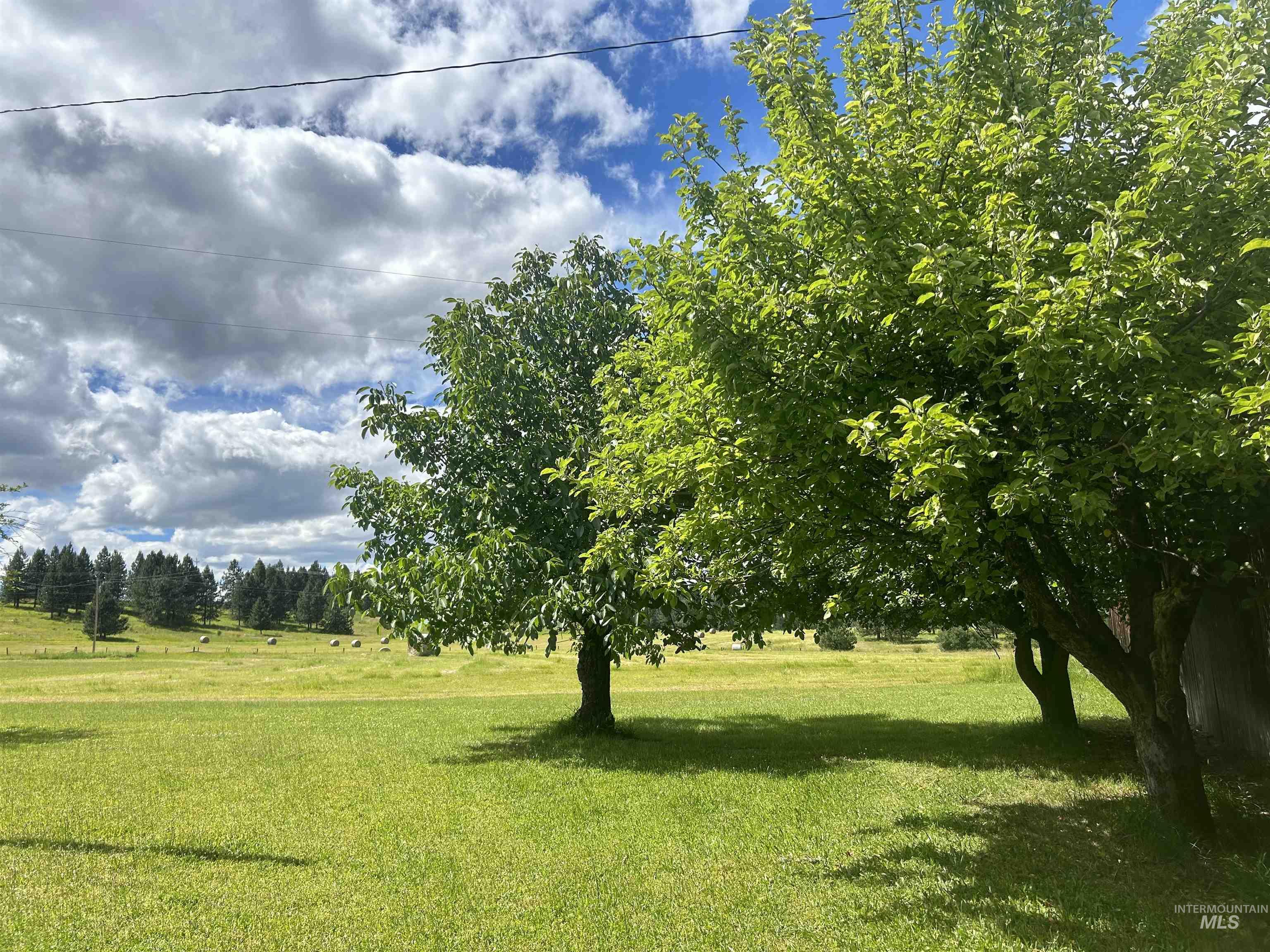 216 Ulmer Road, Kooskia, Idaho 83539, 3 Bedrooms, 1.5 Bathrooms, Farm & Ranch For Sale, Price $2,999,999, 98909327